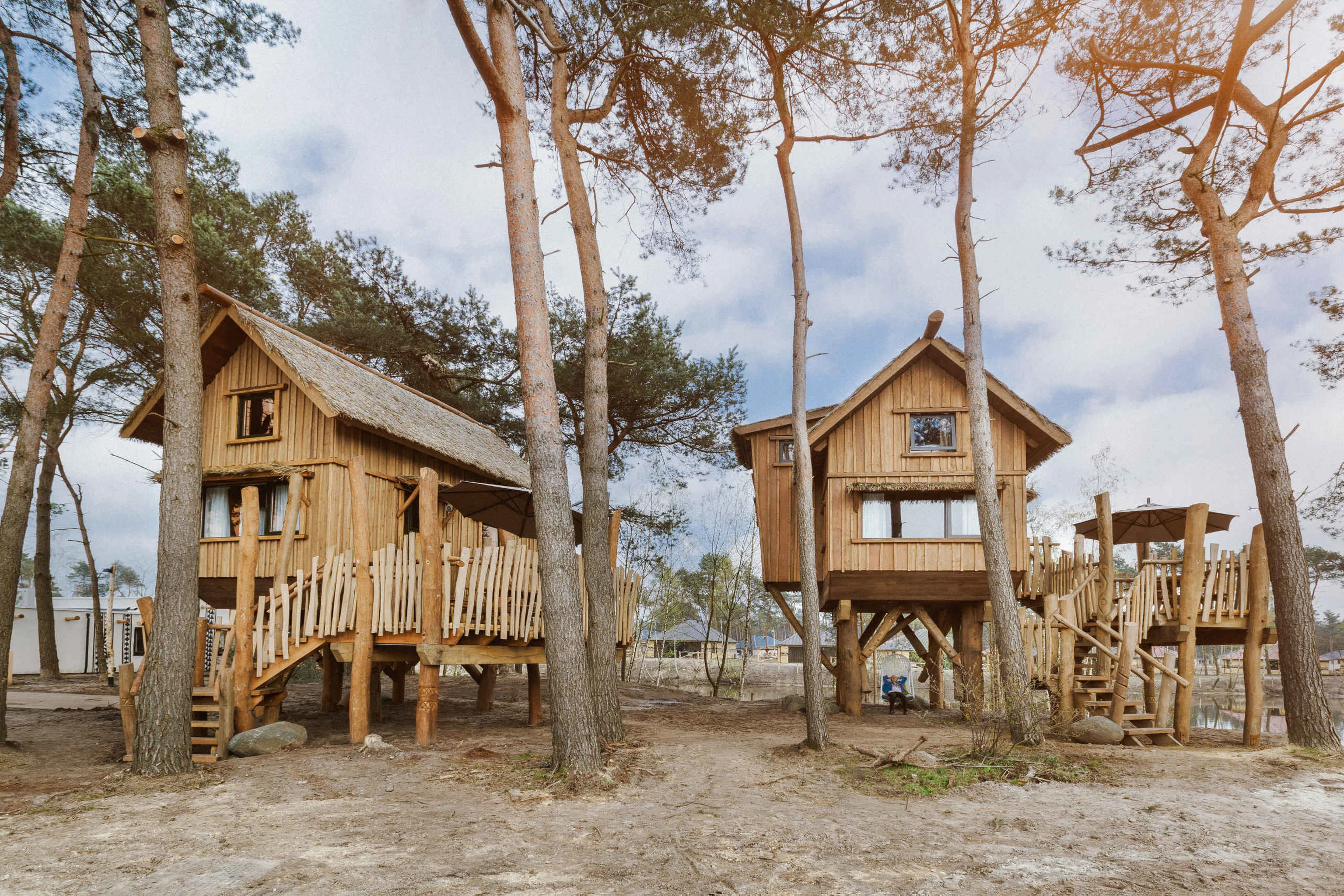 Boomhutten op Safari Resort Beekse Bergen