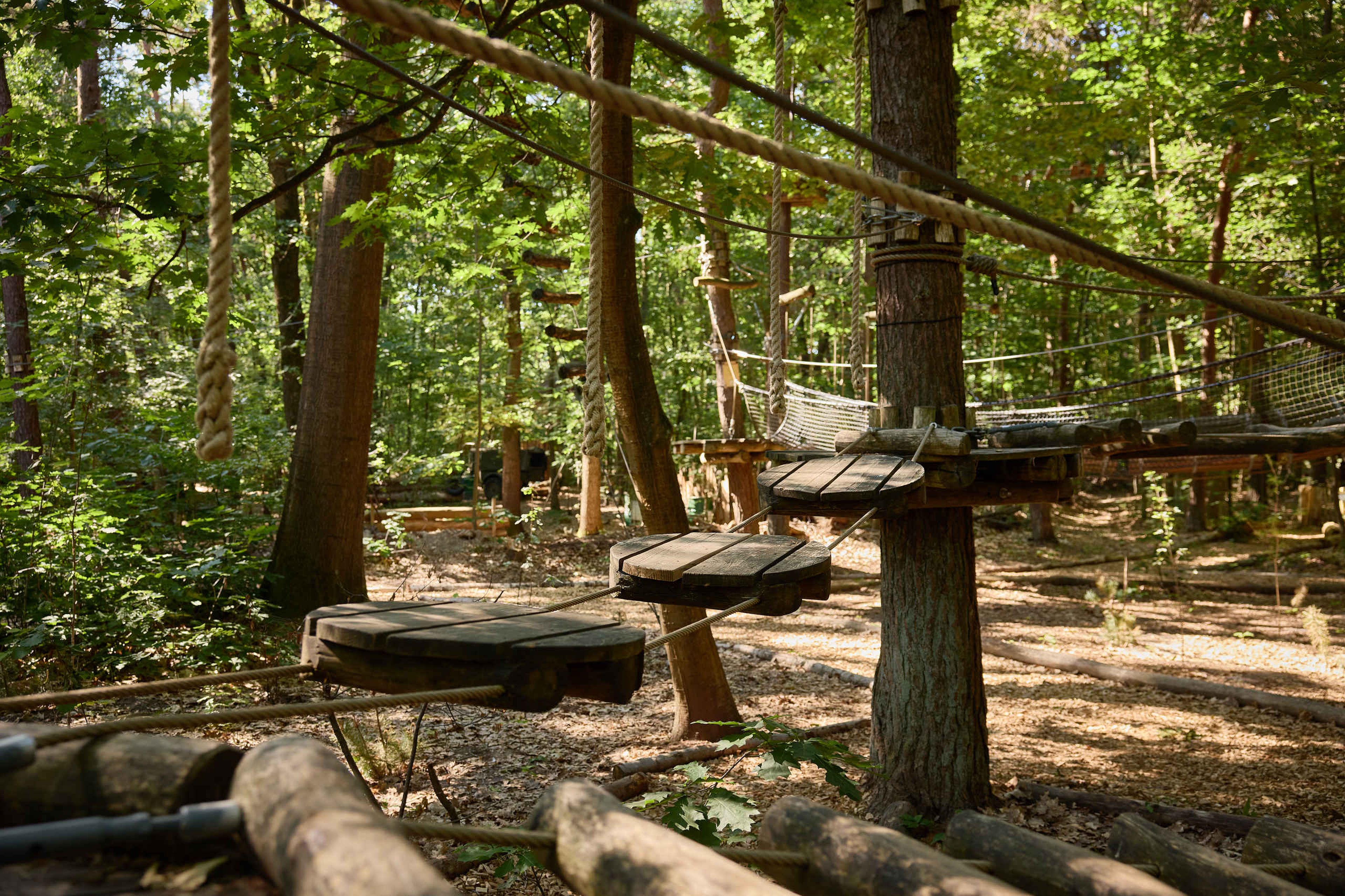 De ronde plateaus op route 7 van het Pico Parcours bij Klimrijk Brabant
