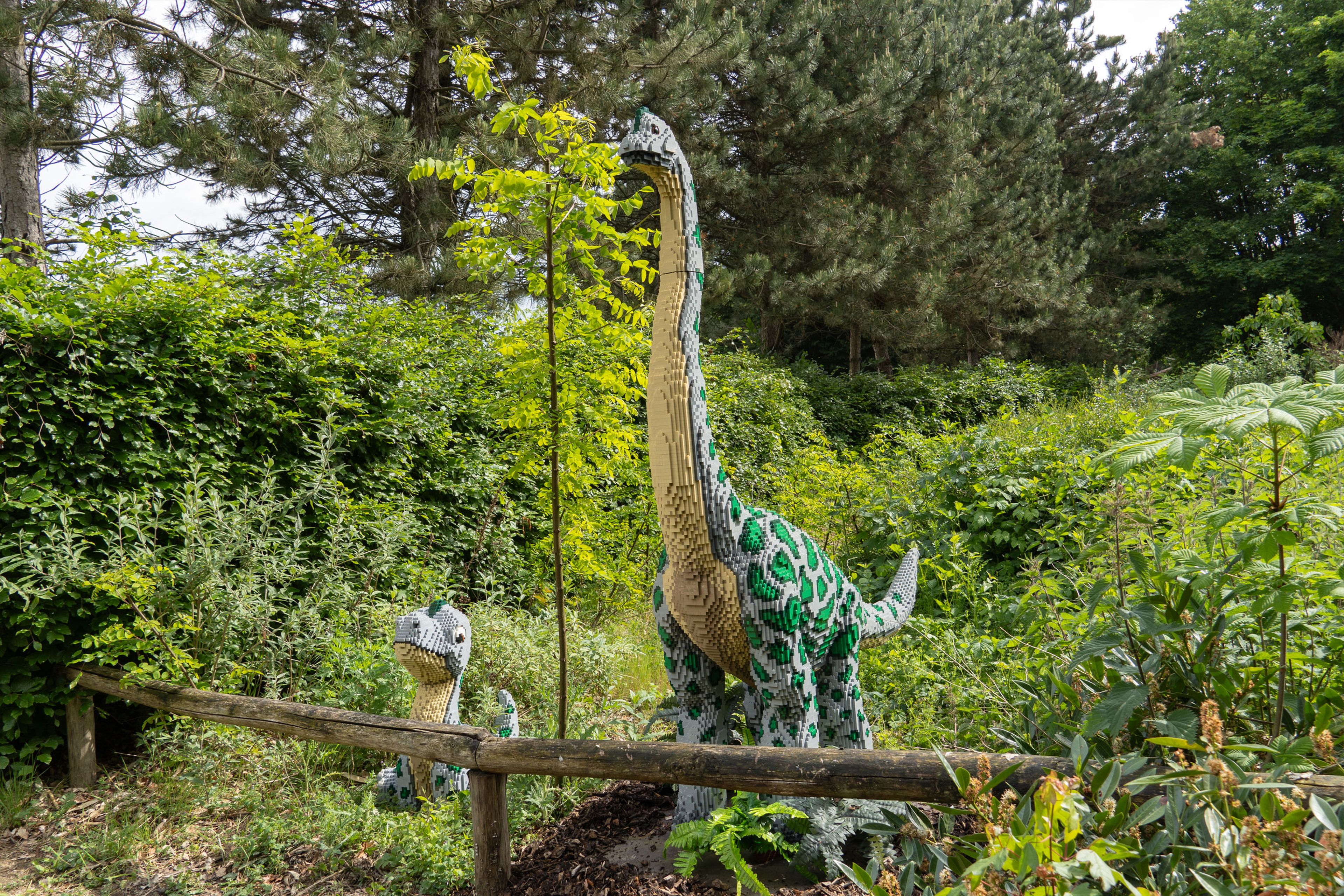 Een Brachiosaurus en jong tijdens Wild Bricks in ZooParc Overloon