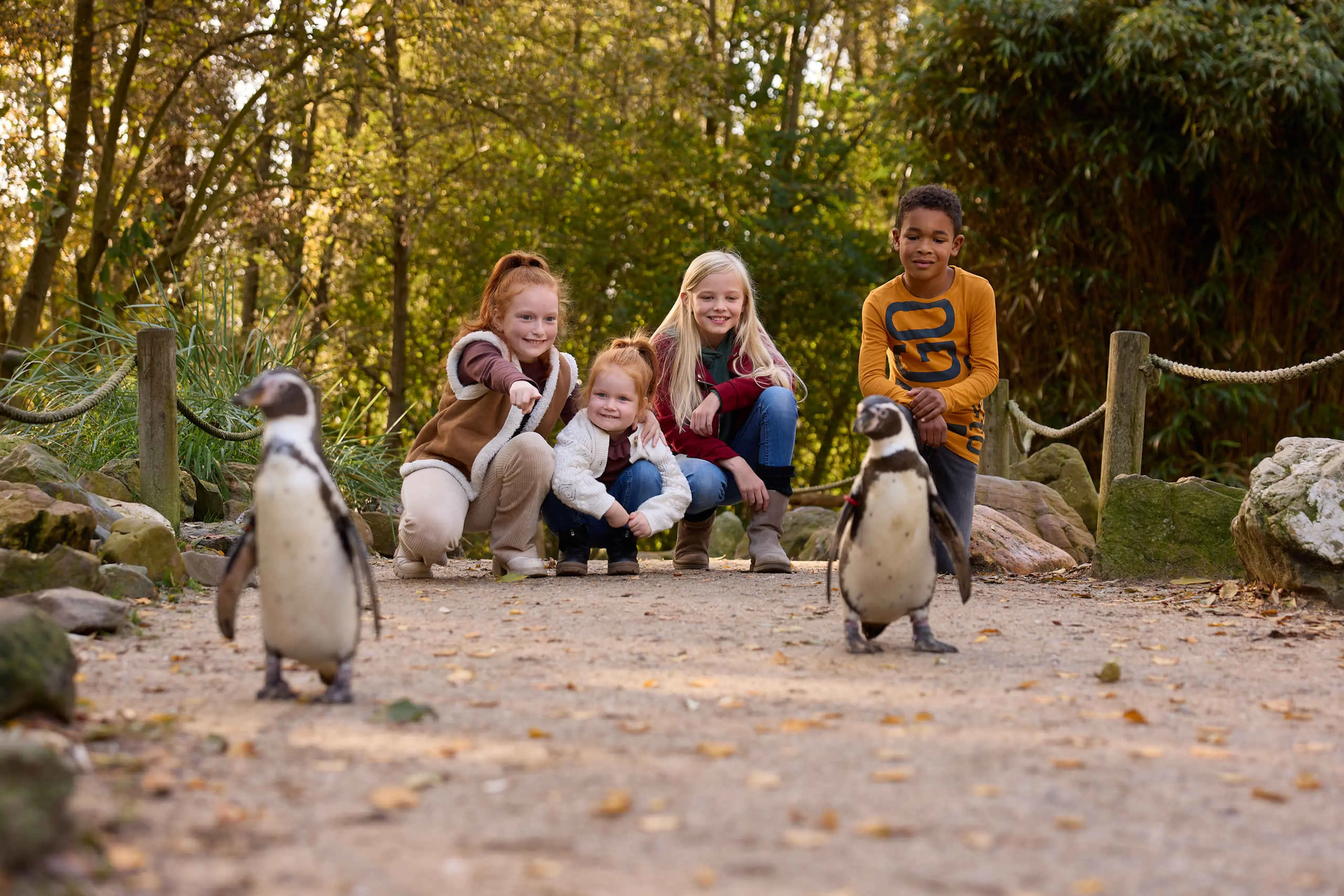 Kinderen wijzen naar pinguïns AquaZoo Leeuwarden