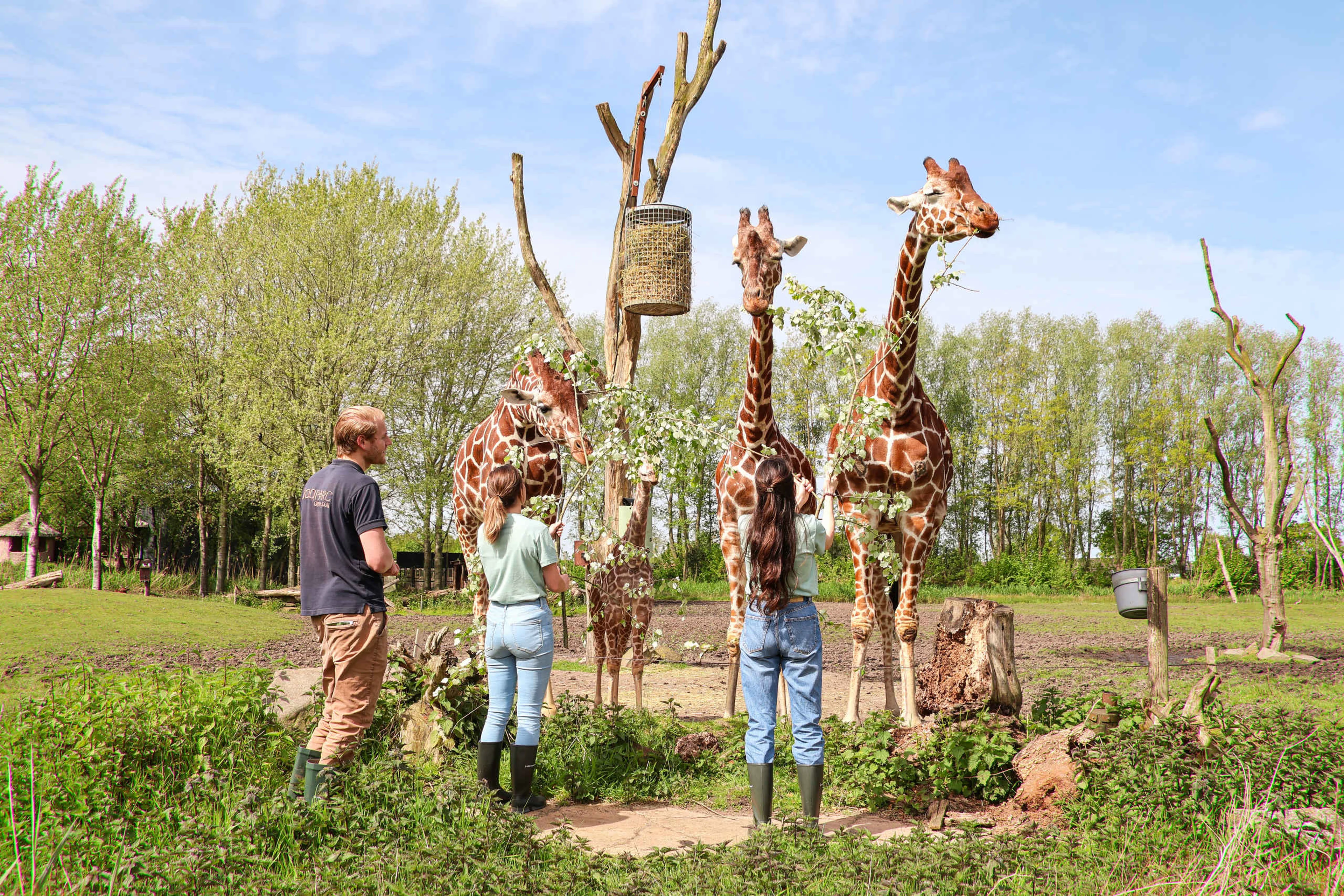 Keeper for a day bij Giraffen ZooParc Overloon