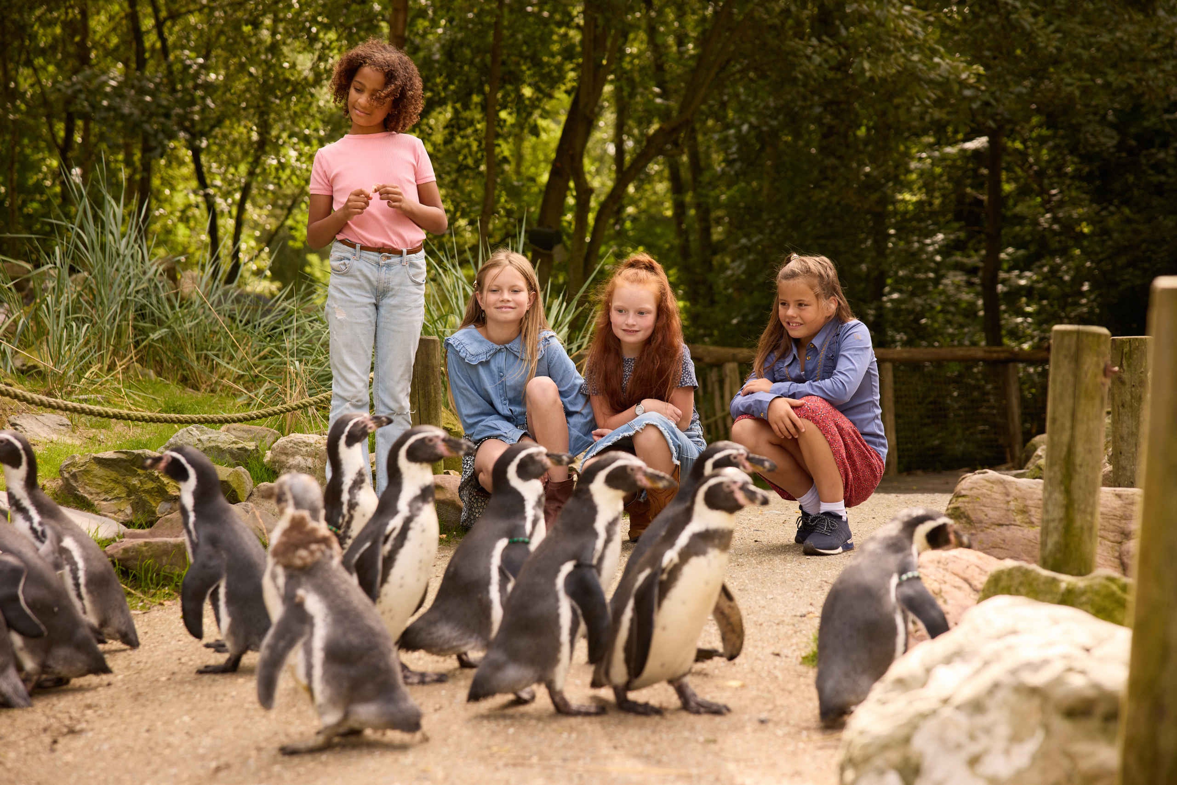 Pinguins en kinderen in AquaZoo