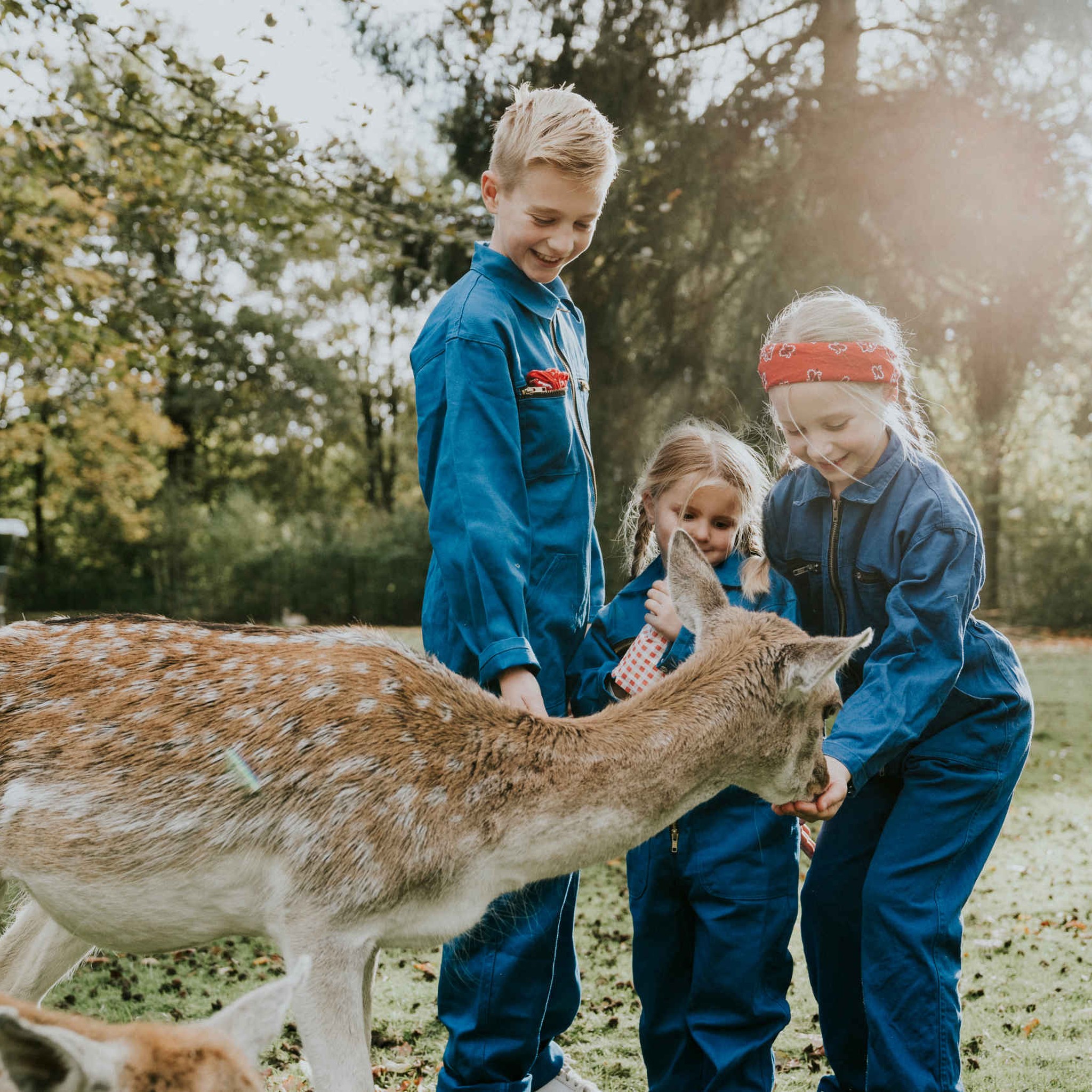 Kinderen voeren een hertje bij Vakantiepark Dierenbos