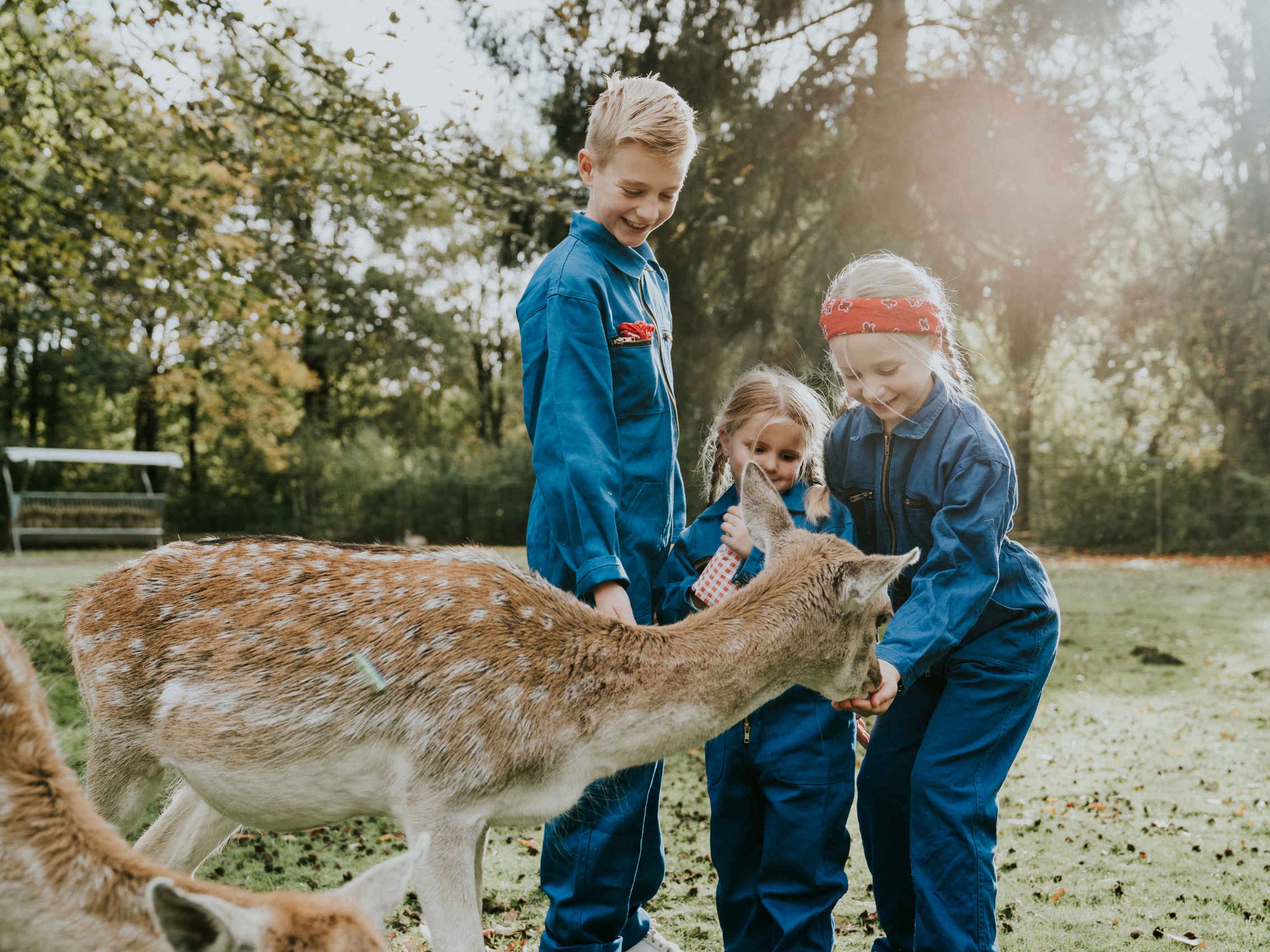 Kinderen voeren een hertje bij Vakantiepark Dierenbos