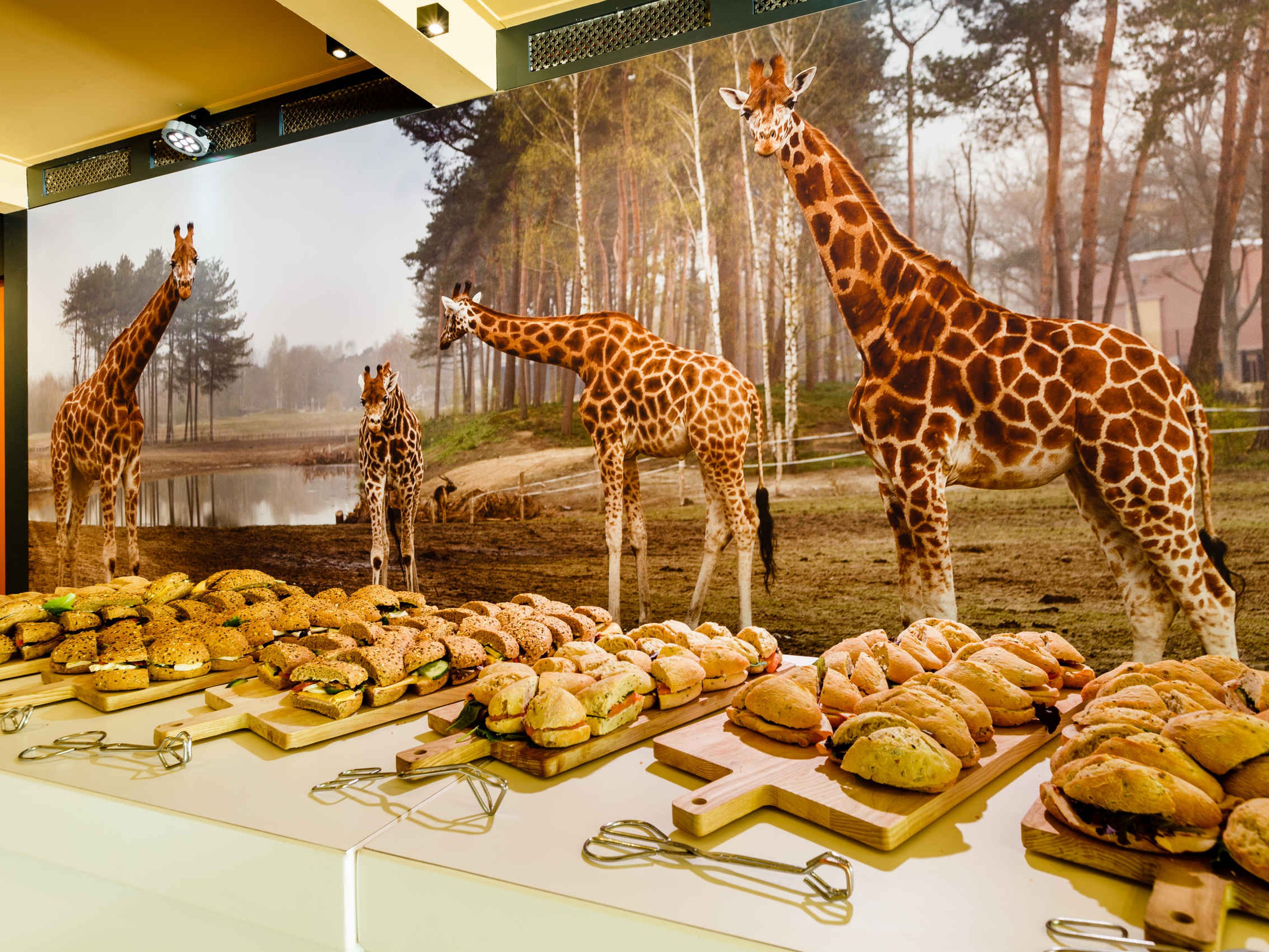 Lunch in de Serengeti Lounge bij Event Center Beekse Bergen