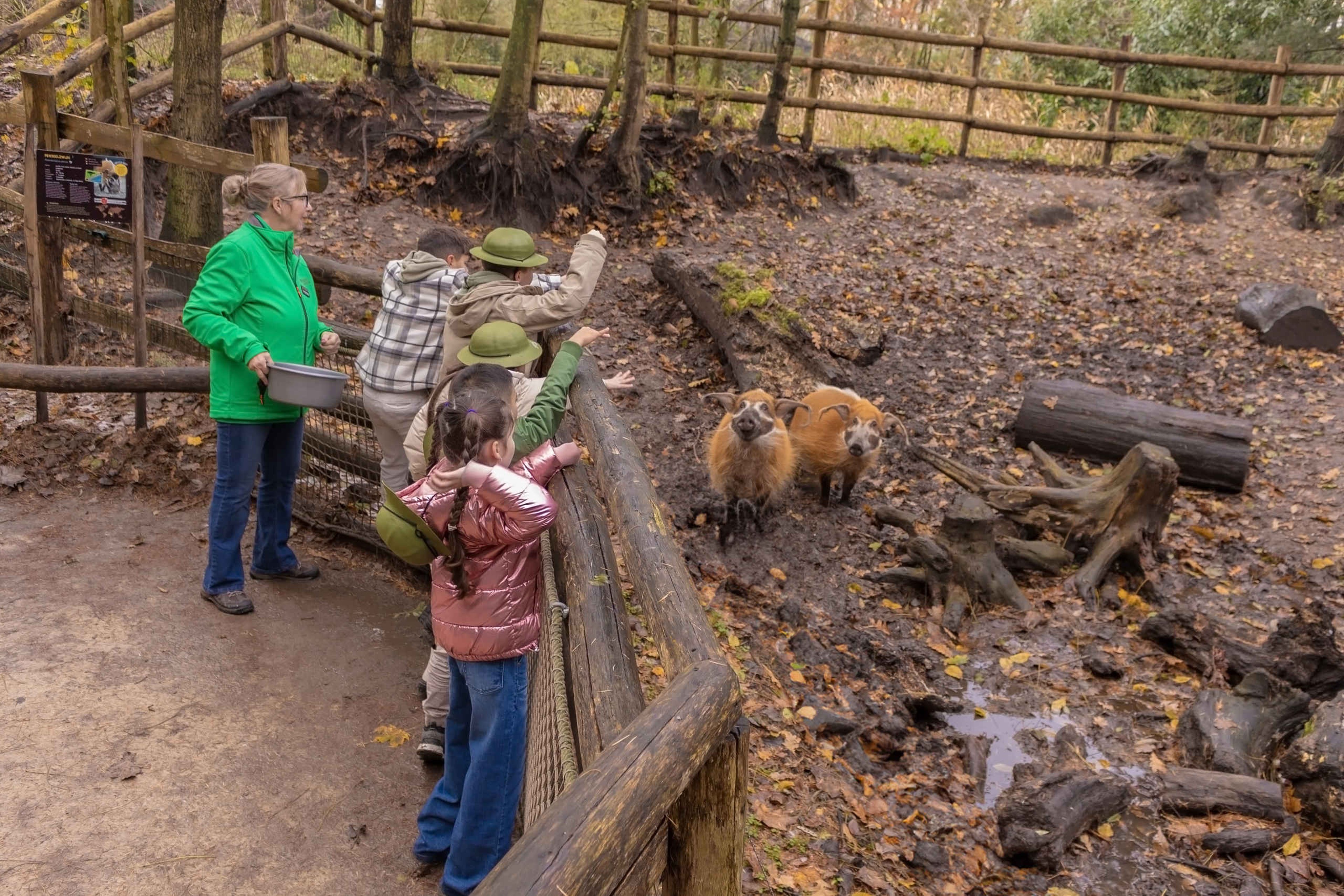 Kinderfeestjes najaar jongen en meisjes bij de zwijnen ZooParc Overloon