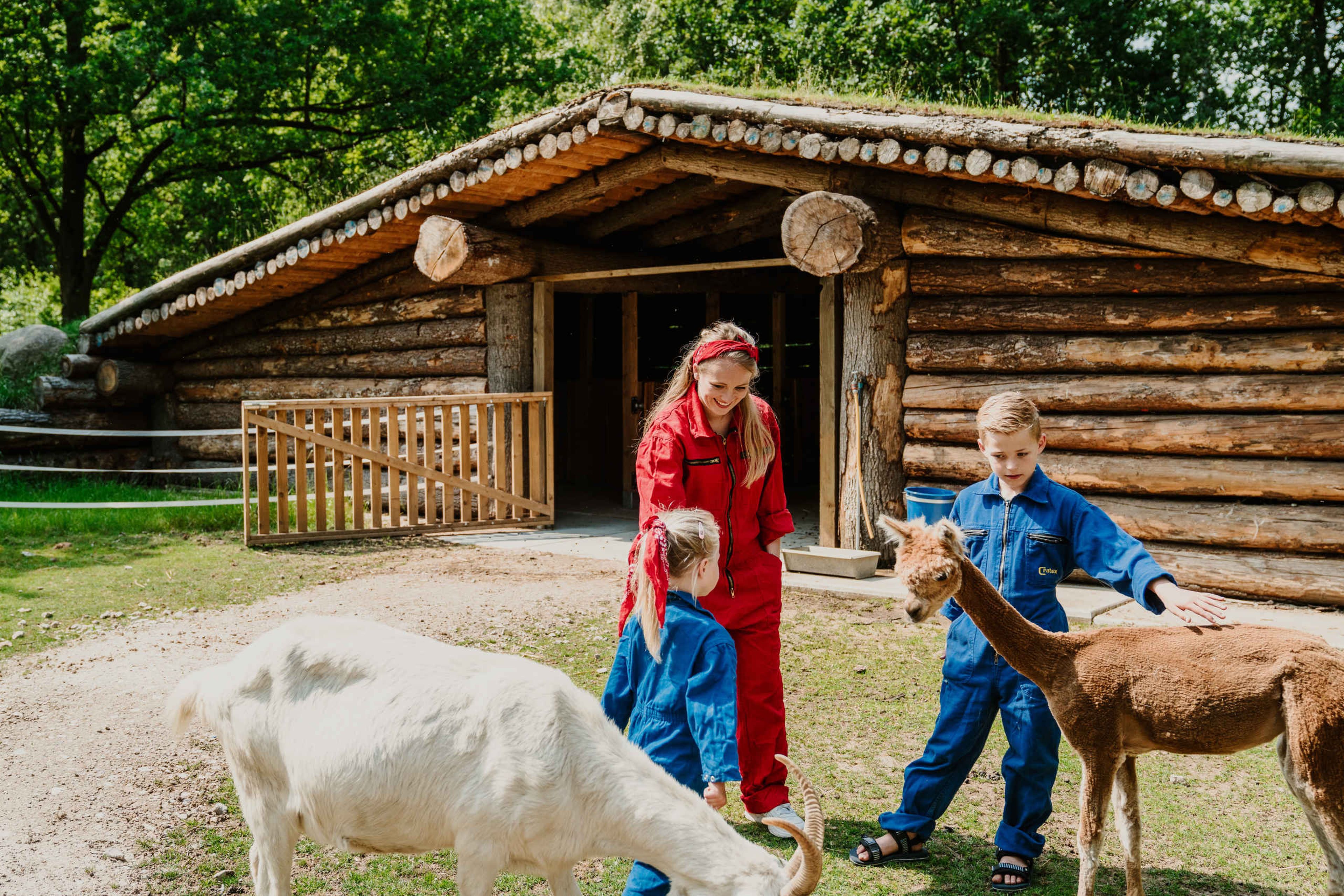 Een dierenverzorger en haar kinderen staan bij de alpaca's bij Vakantiepark Dierenbos