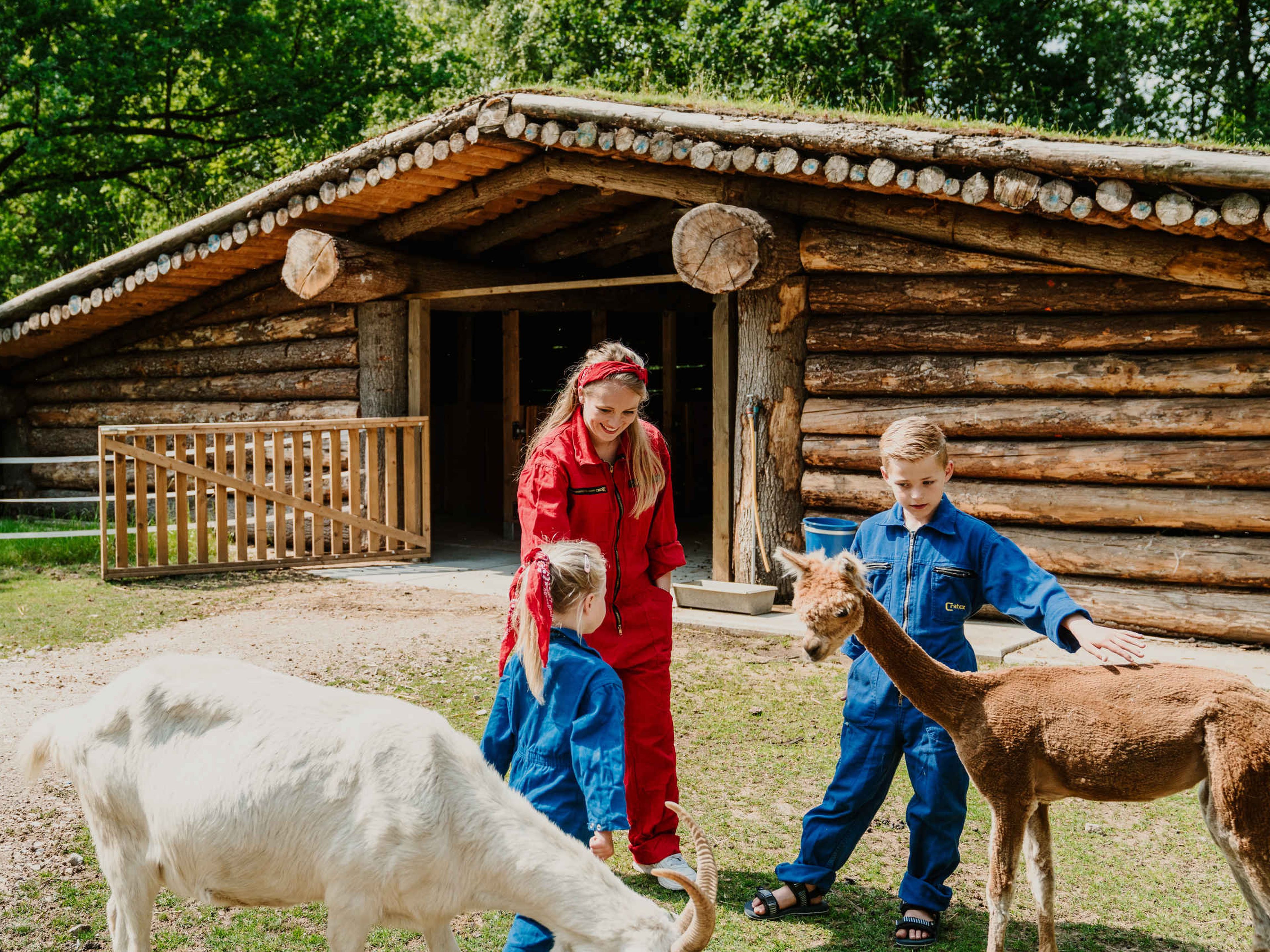 Een dierenverzorger en haar kinderen staan bij de alpaca's bij Vakantiepark Dierenbos