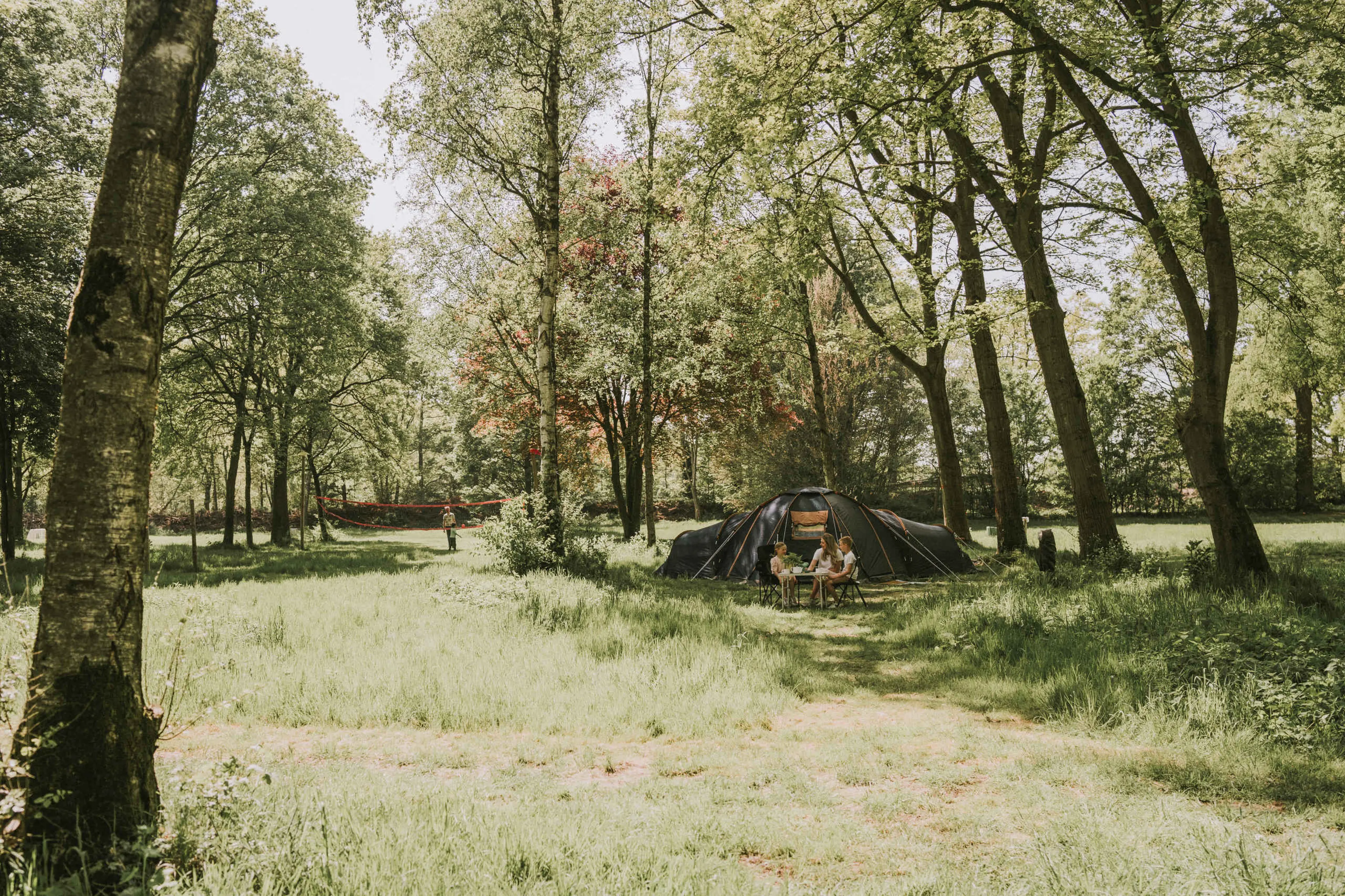 Tent op de bosrijke camping van Vakantiepark Dierenbos