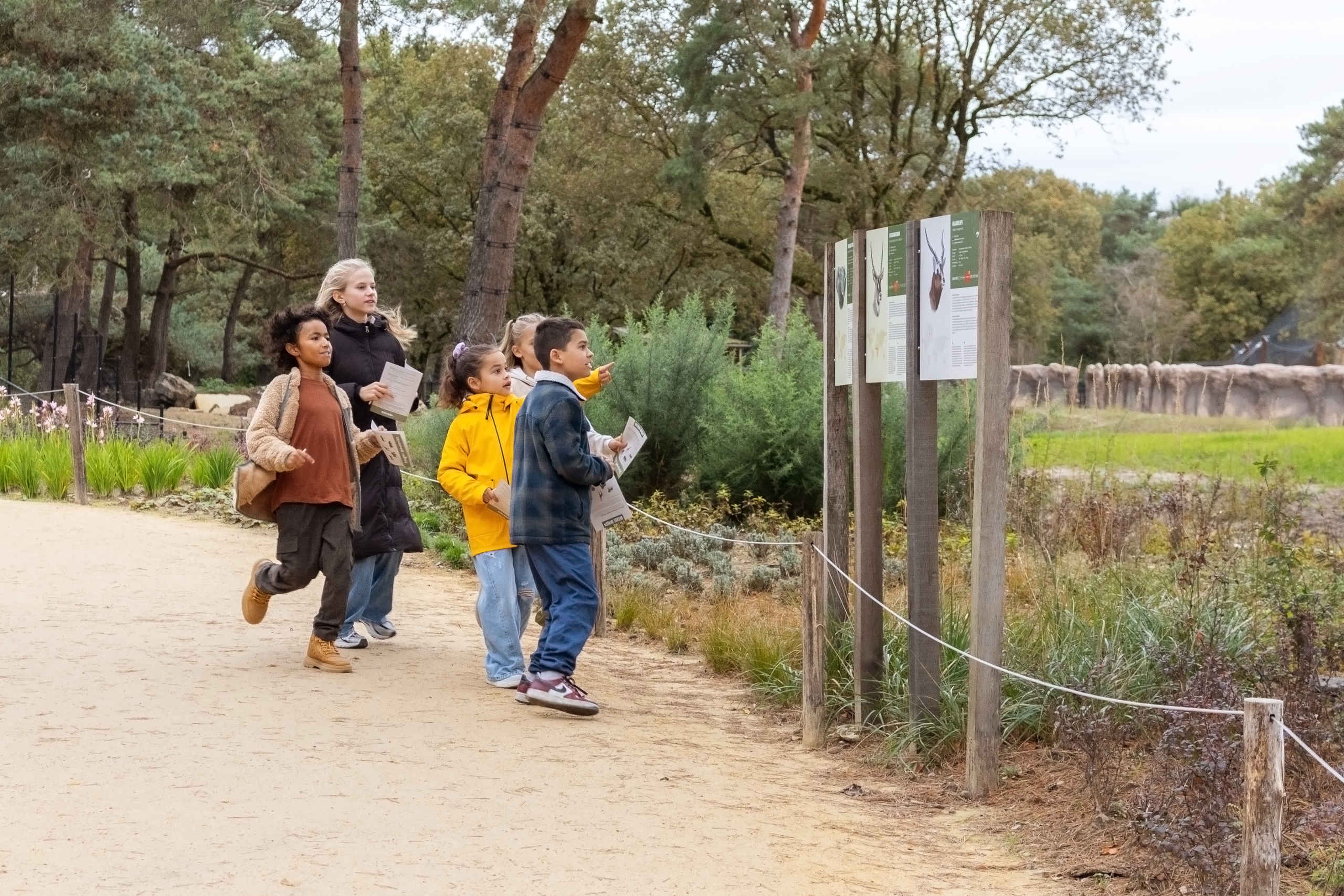 Kinderen rennen tijdens kinderfeestje Zebra in Safaripark Beekse Bergen