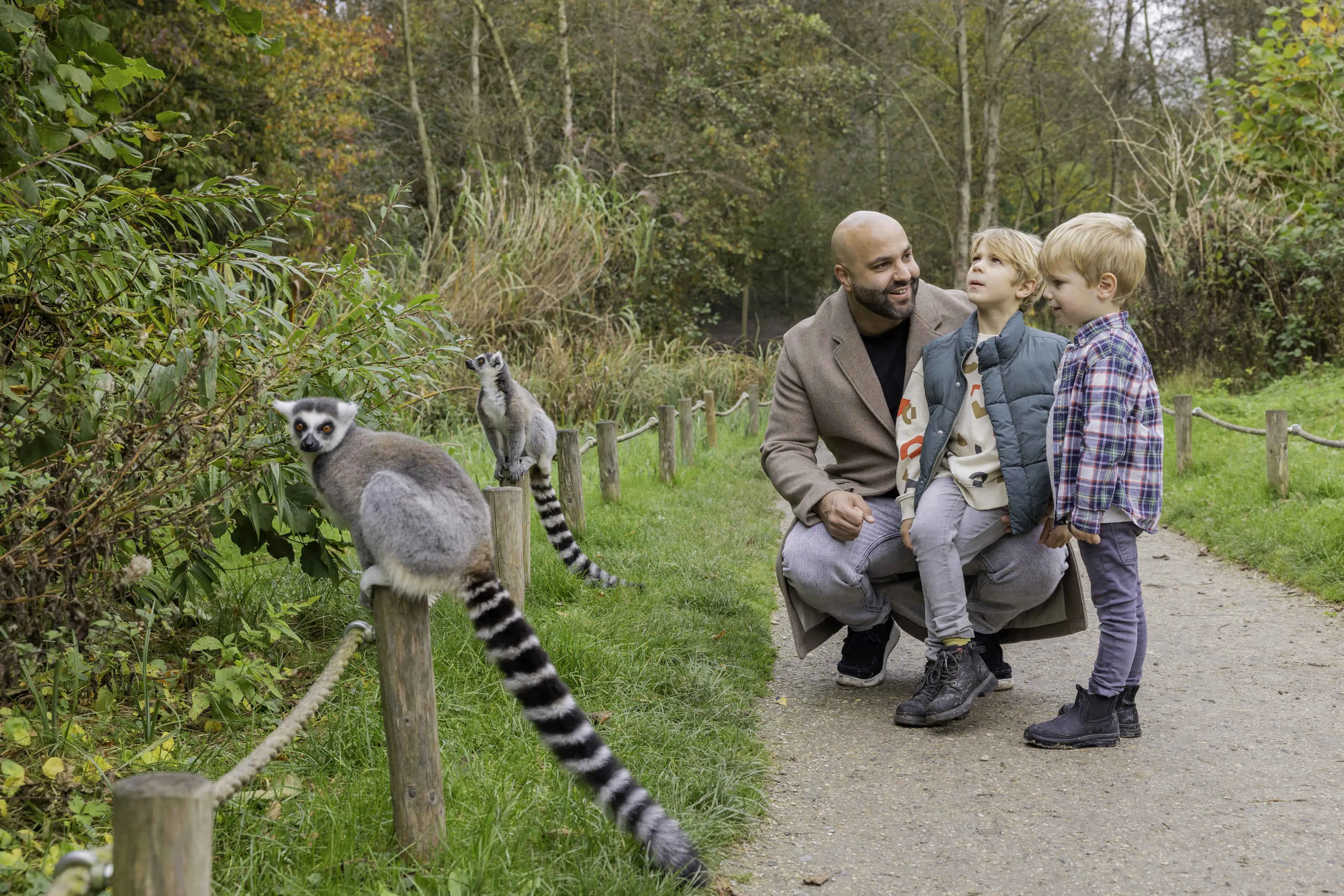 Herfst een vader met twee zoons bij de ringstaartmaki's in AquaZoo Leeuwarden