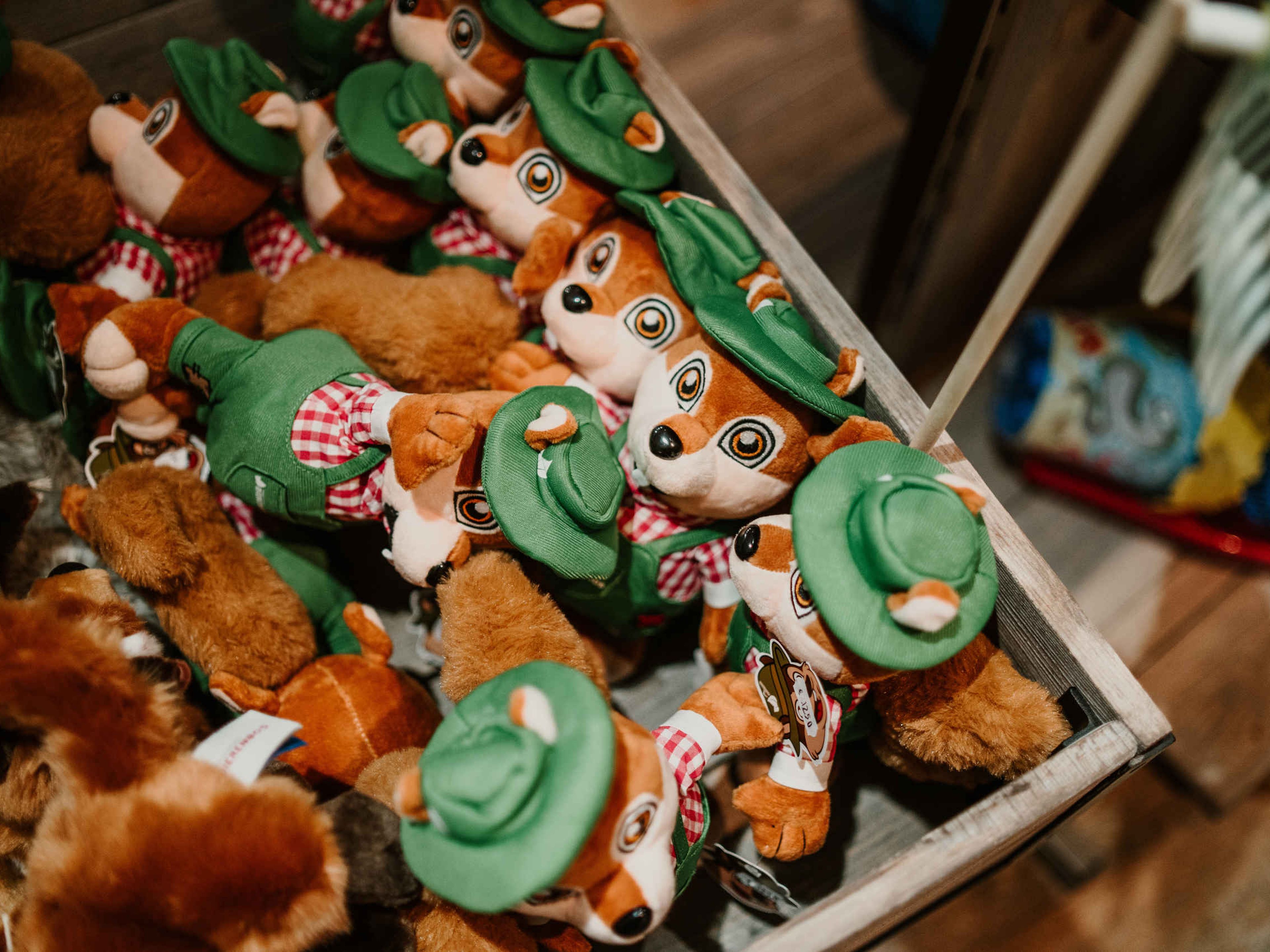 Knuffels van de mascotte van Vakantiepark Dierenbos, Jibo, in mini-market Broodnodig.