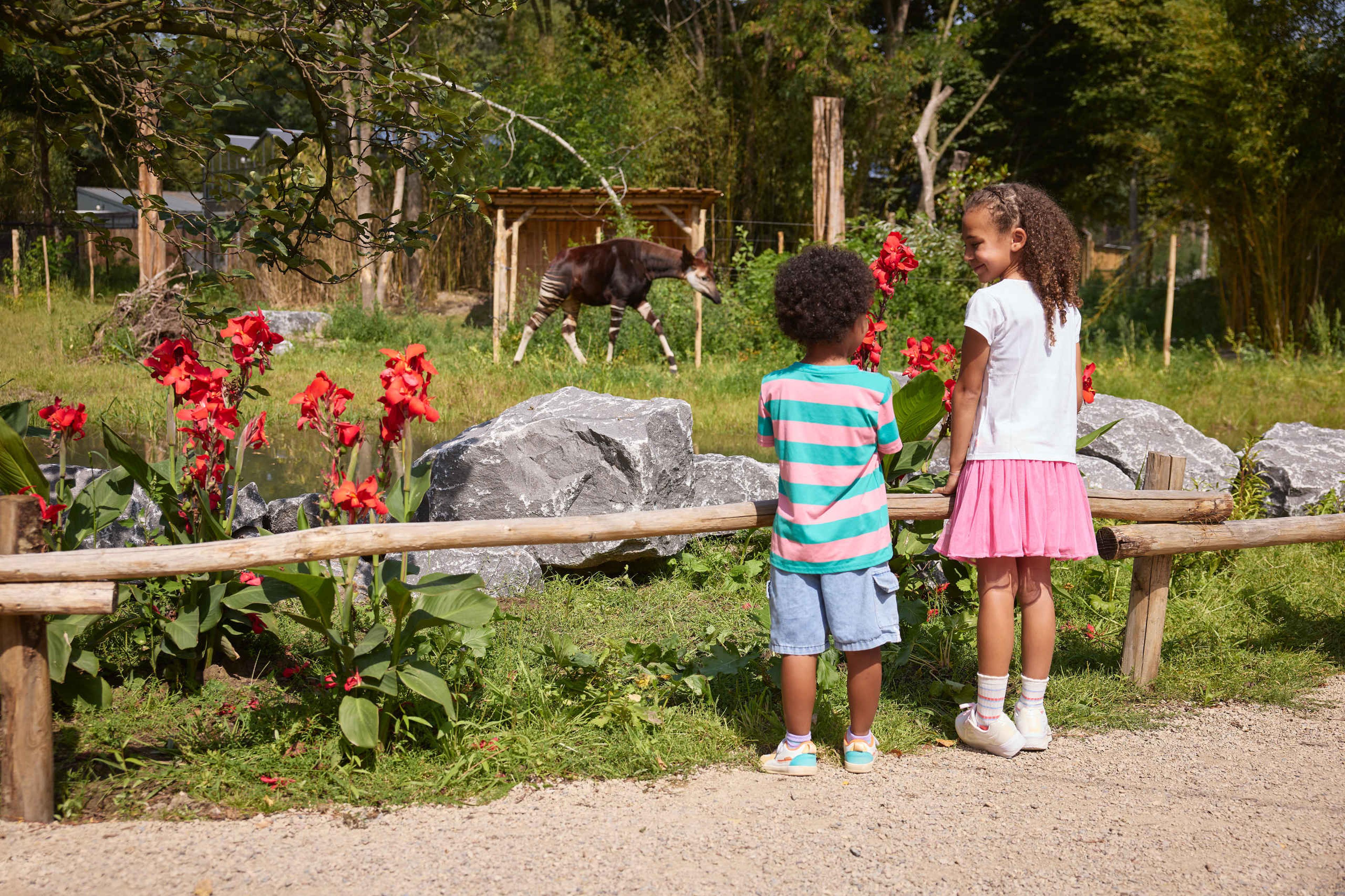 Kinderen bij okapi in ZooParc Overloon