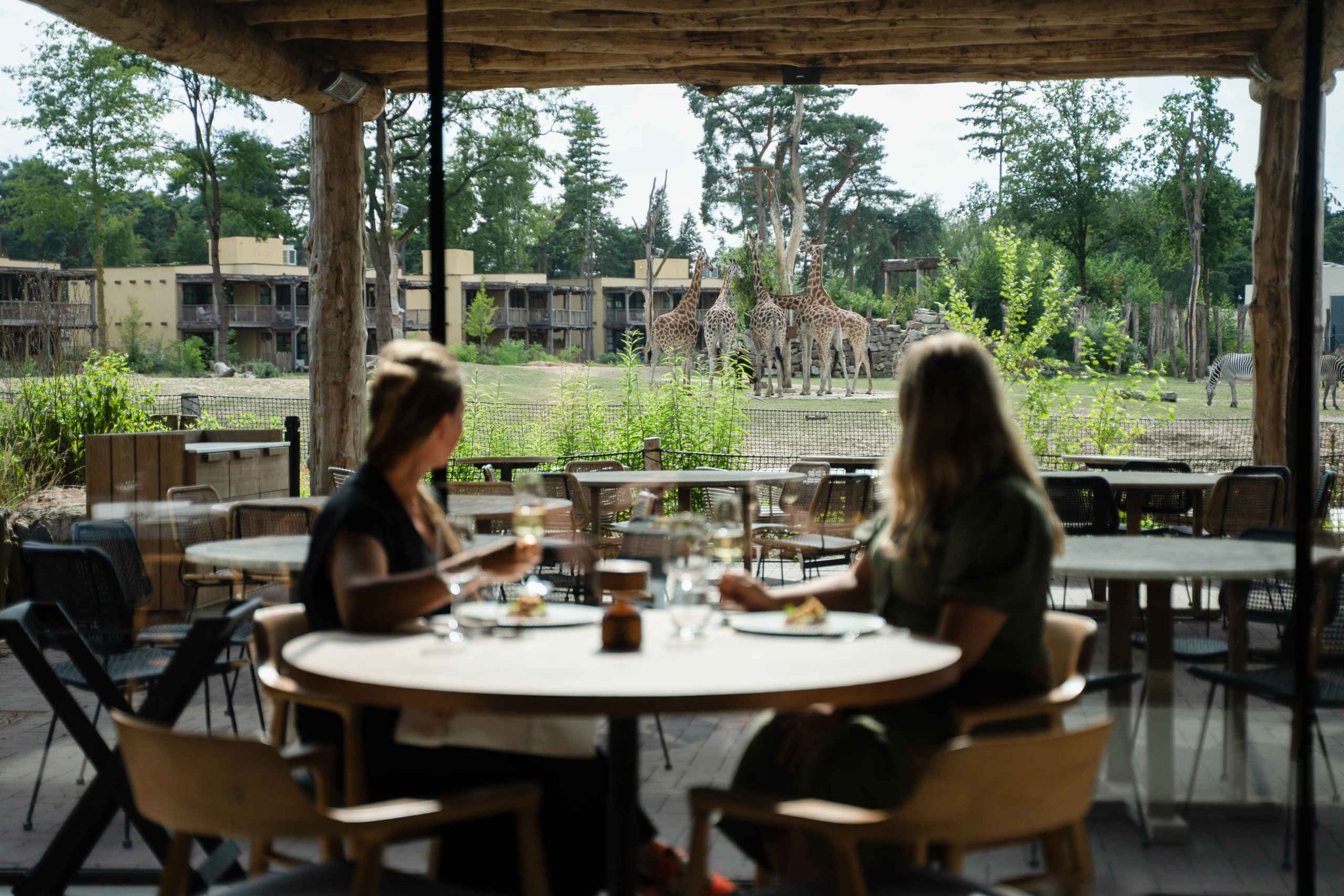 Twee vrouwen zitten op het terras bij Restaurant Nommos bij Safari Hotel Beekse Bergen.