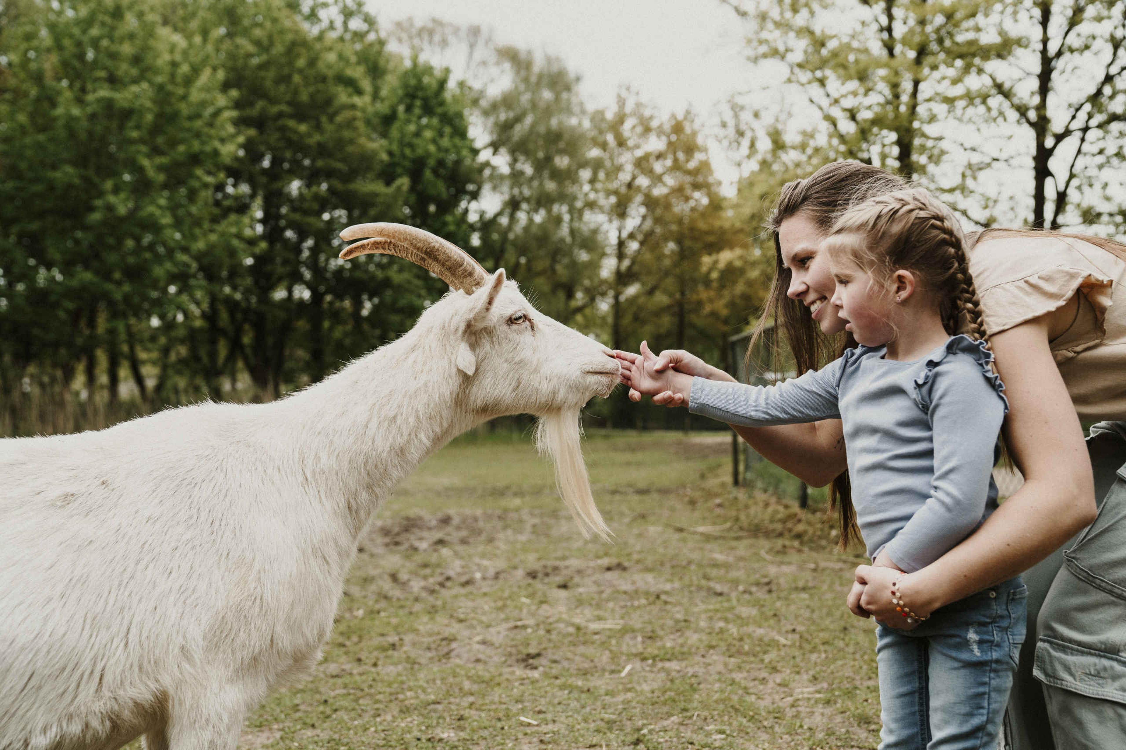 Moeder en dochter aaien een geit bij Vakantiepark Dierenbos