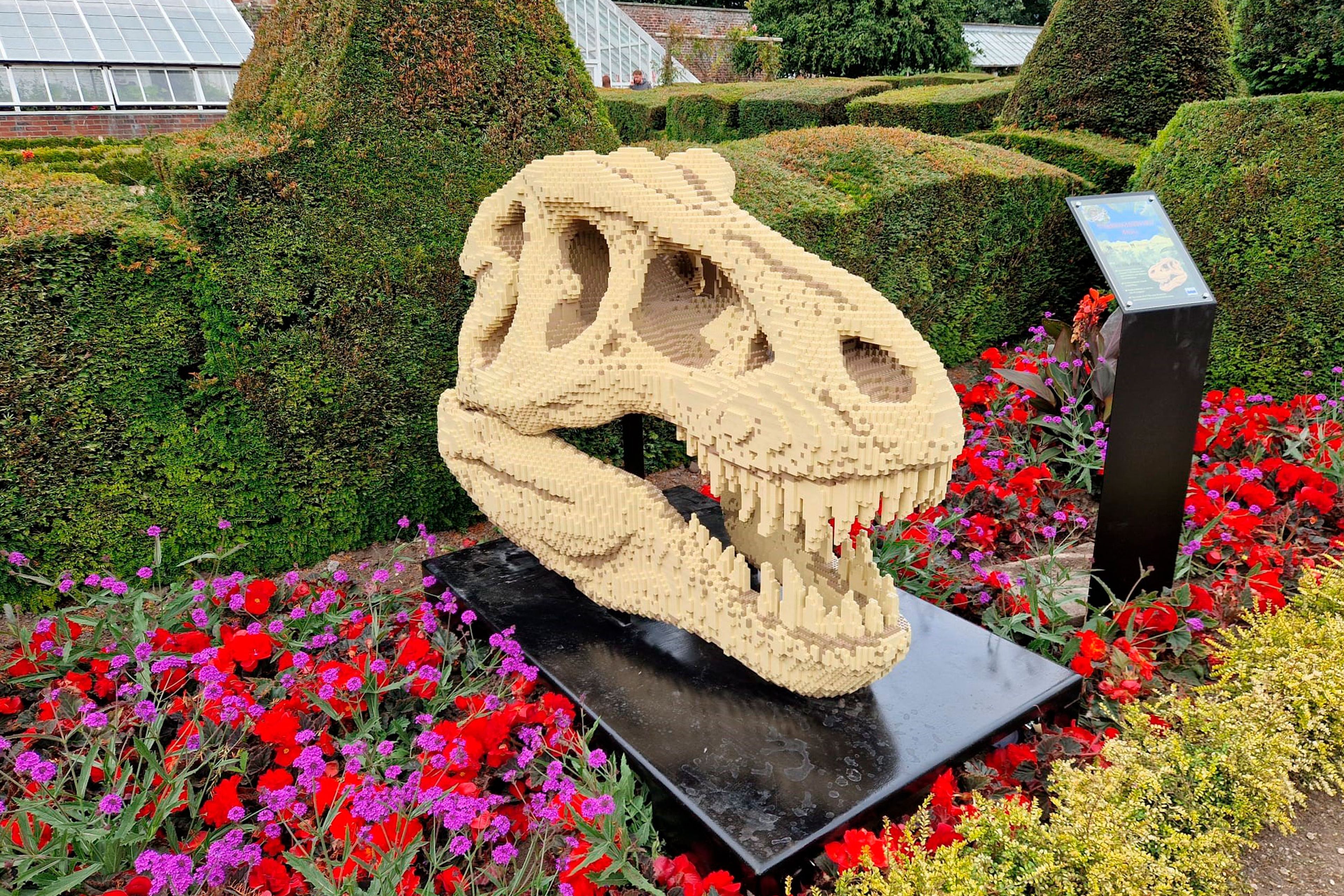Een t-rex schedel in ZooParc Overloon
