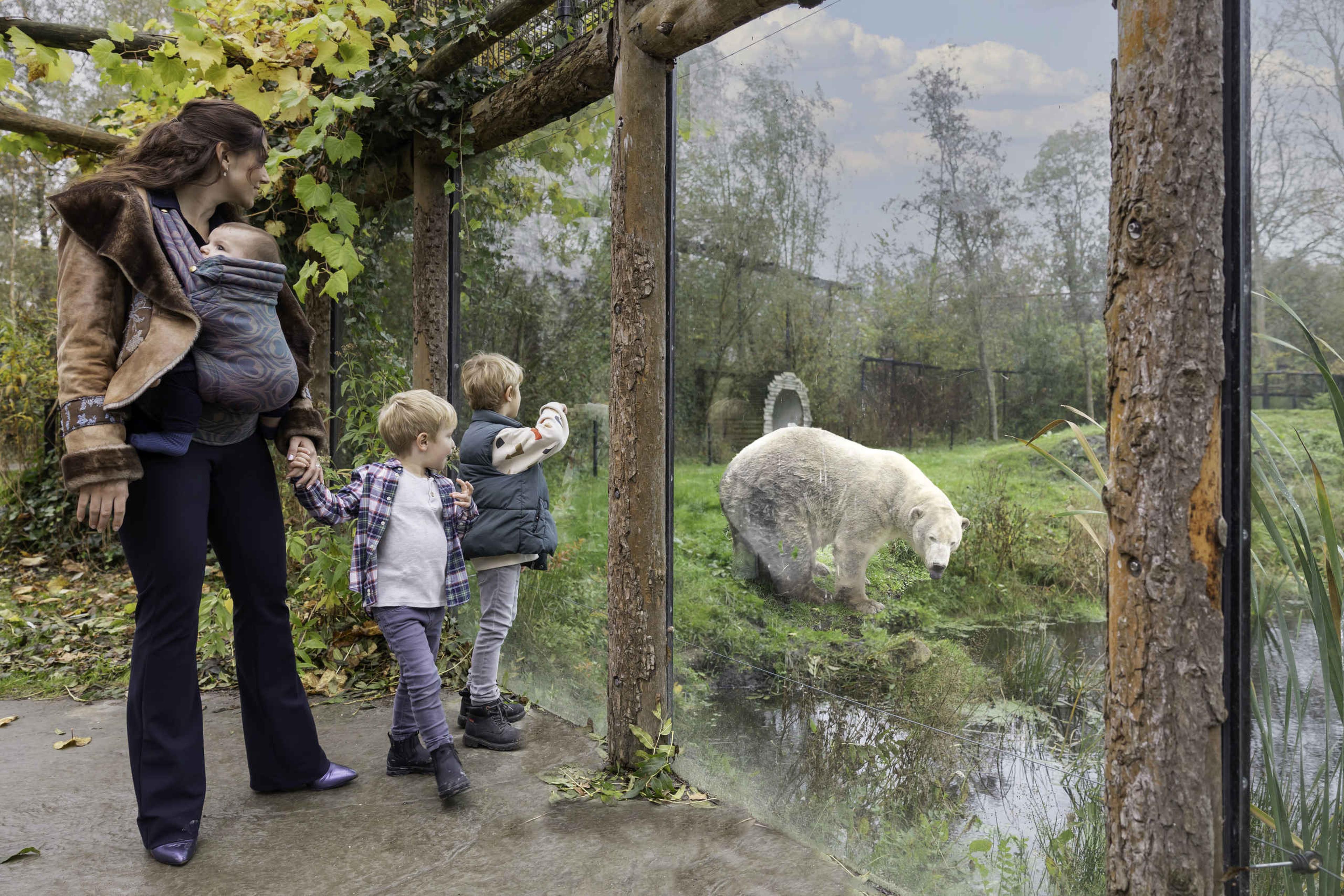 Een moeder kijkt met haar drie kinderen naar een ijsbeer in het Churchillgebied bij AquaZoo Leeuwarden.