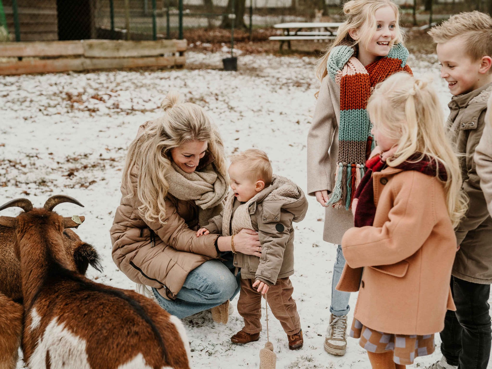 Een gezin kijkt in de winter bij de geitjes op Vakantiepark Dierenbos.