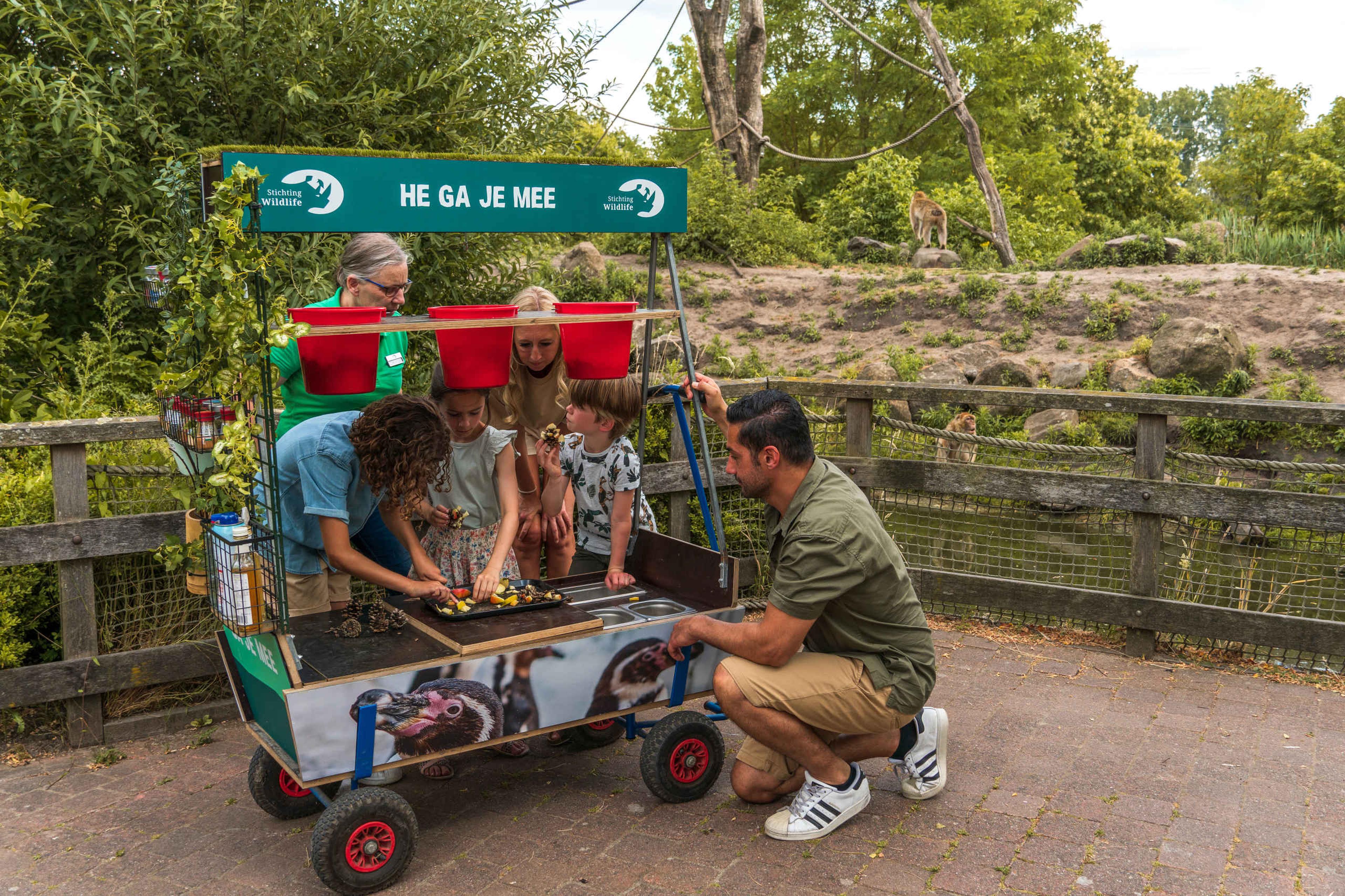Kinderen met vrijwilliger tijdens de voederpresentatie in dierentuin Eindhoven Zoo in Brabant