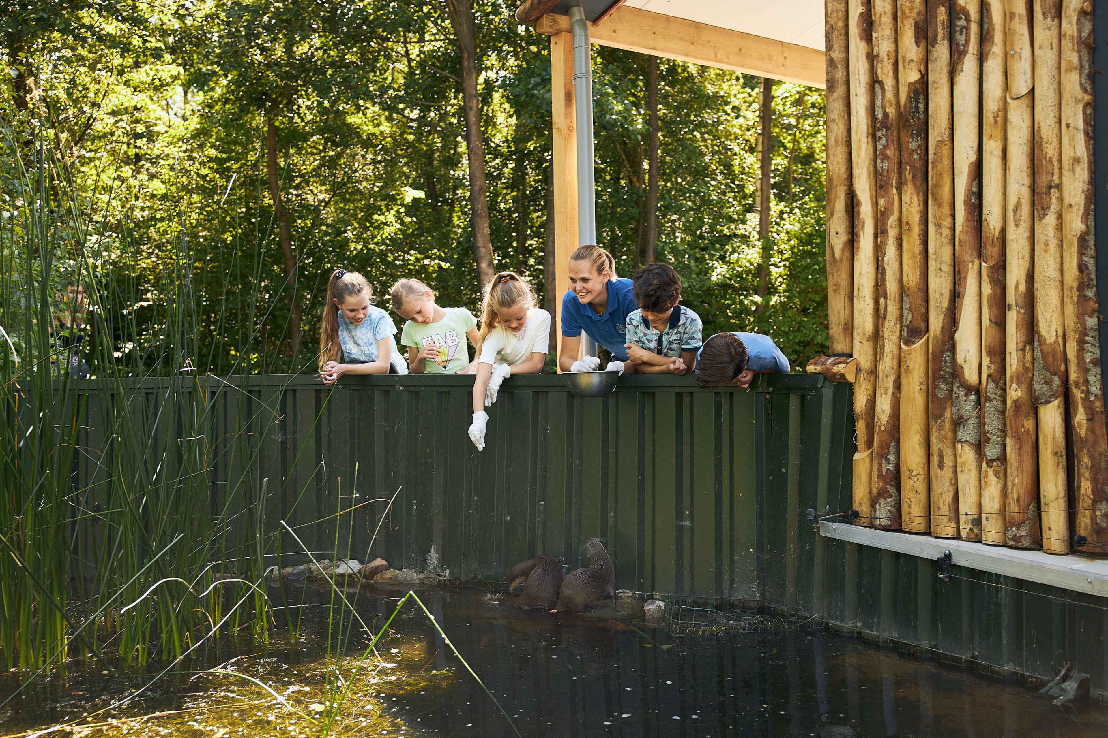 Kinderen voeren tijdens kinderfeestje kleinklauwotters in AquaZoo Leeuwarden