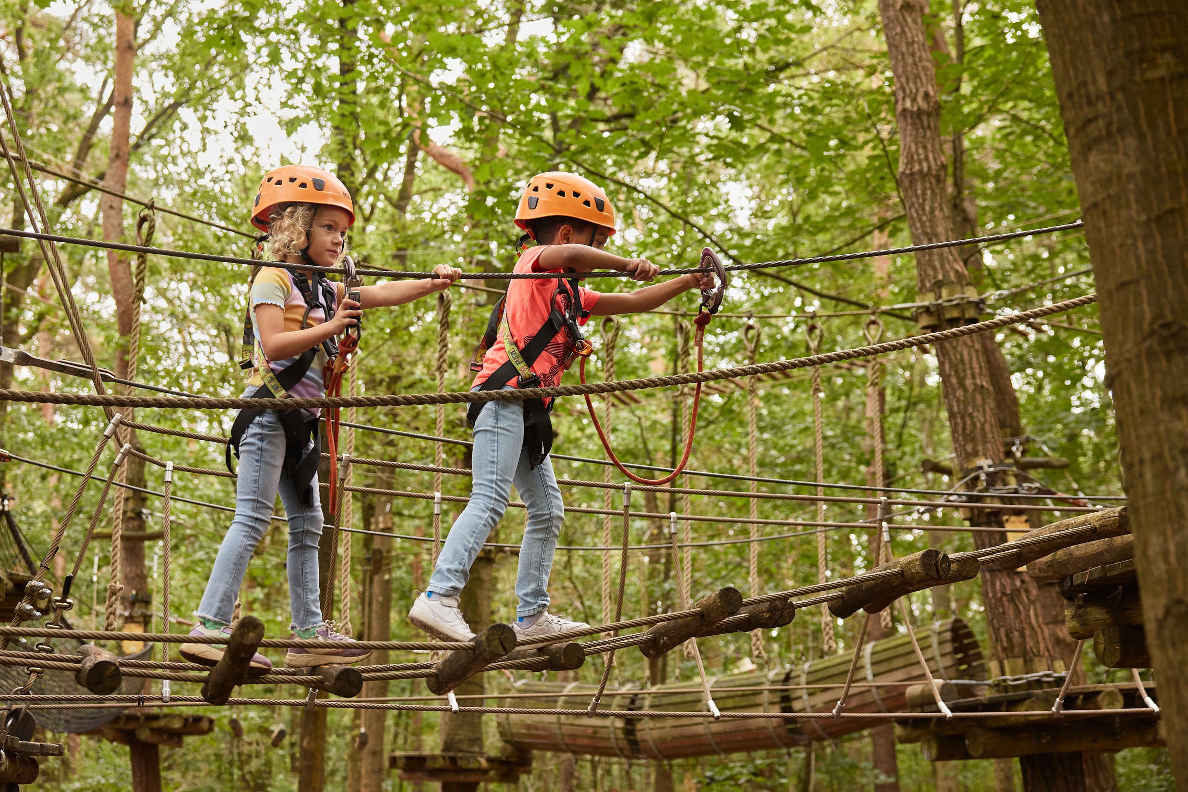 Twee kinderen klimmen op het Pico Parcours bij Klimrijk Brabant.