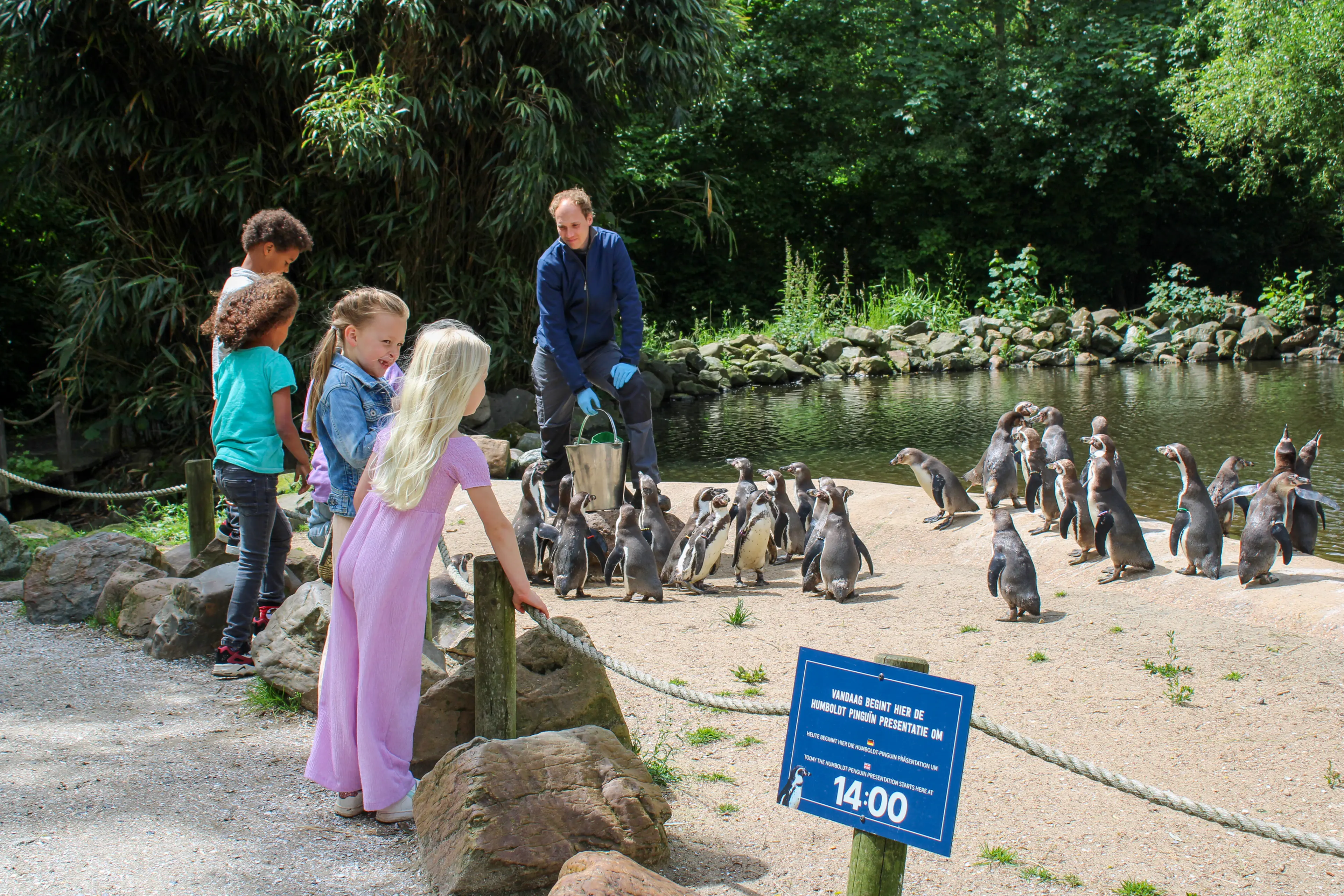 Kinderen voeren pinguïns AquaZoo Leeuwarden