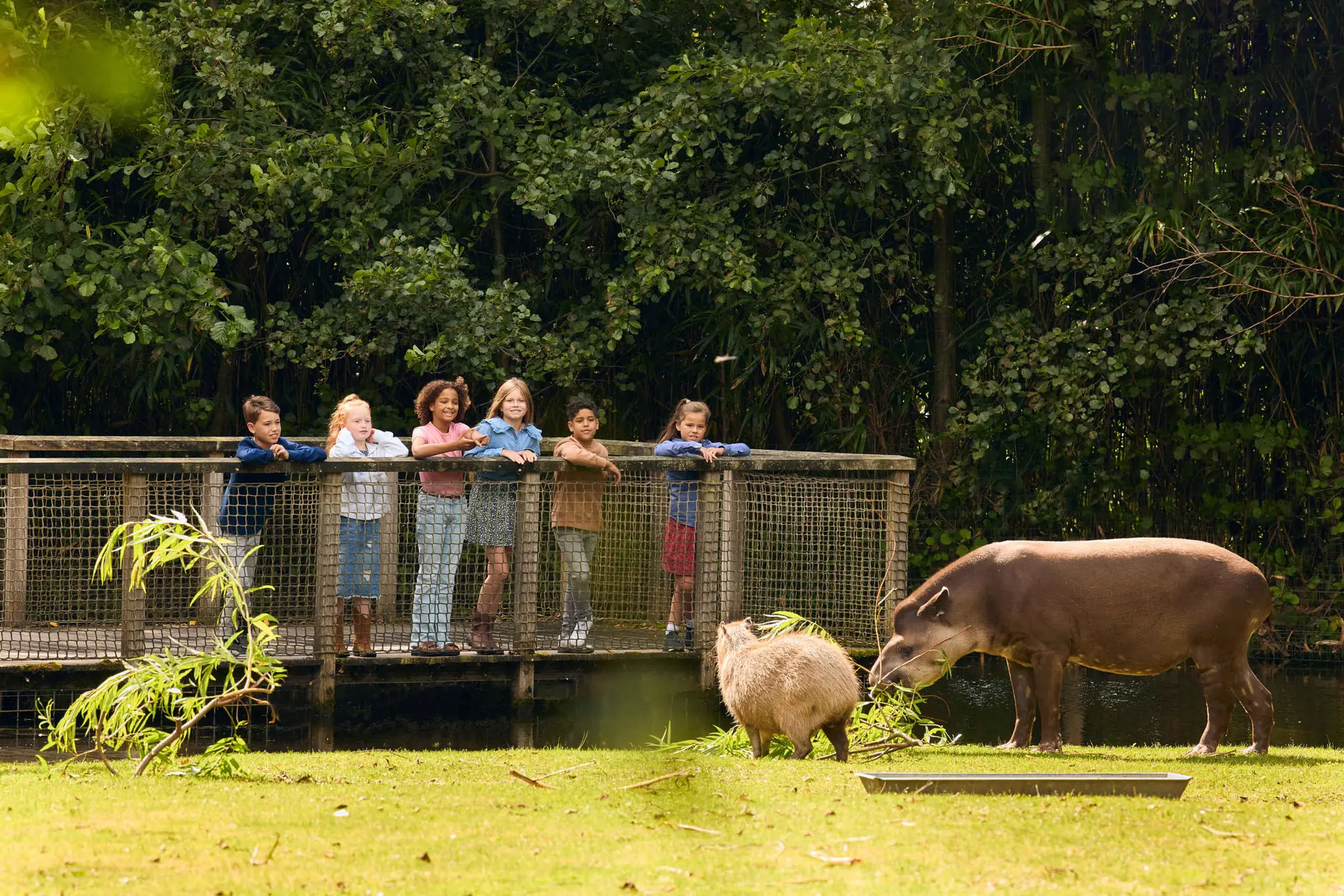 Kinderen kijken via een vlonder naar een capybara en tapir bij AquaZoo Leeuwarden.