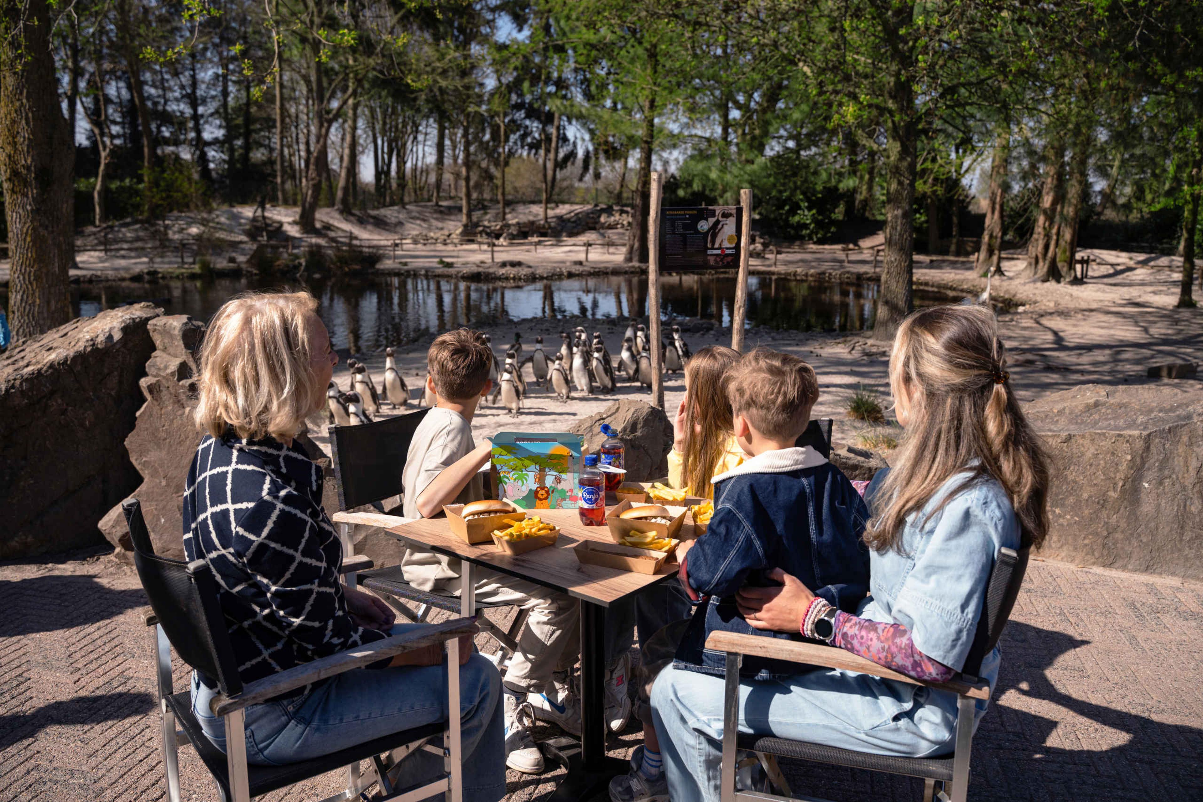 Een gezin met kinderen op het terras van Headquarters met uitzicht op de pinguins van Zooparc Overloon