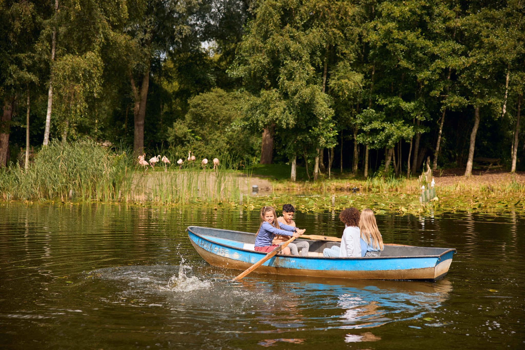 Kinderen in bootje varen AquaZoo Leeuwarden