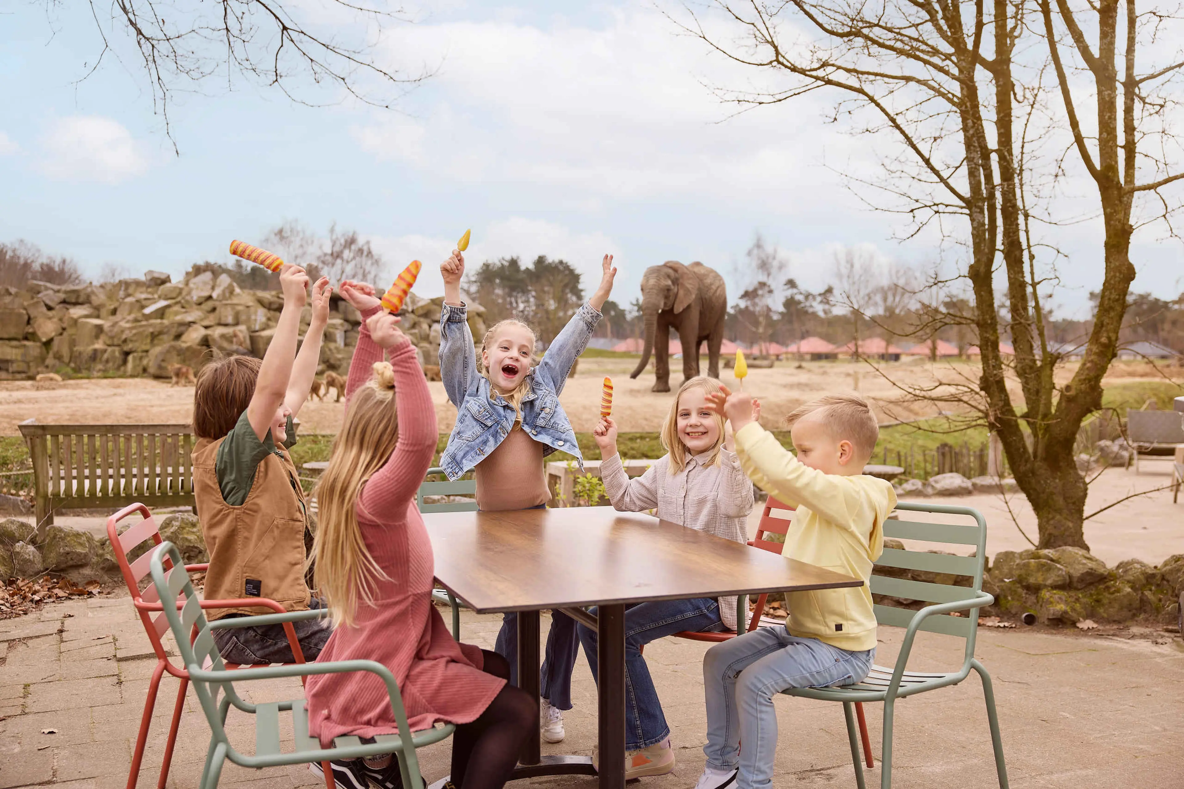Kinderen tijdens kinderfeestje met ijsjes bij de olifanten in Safaripark Beekse Bergen