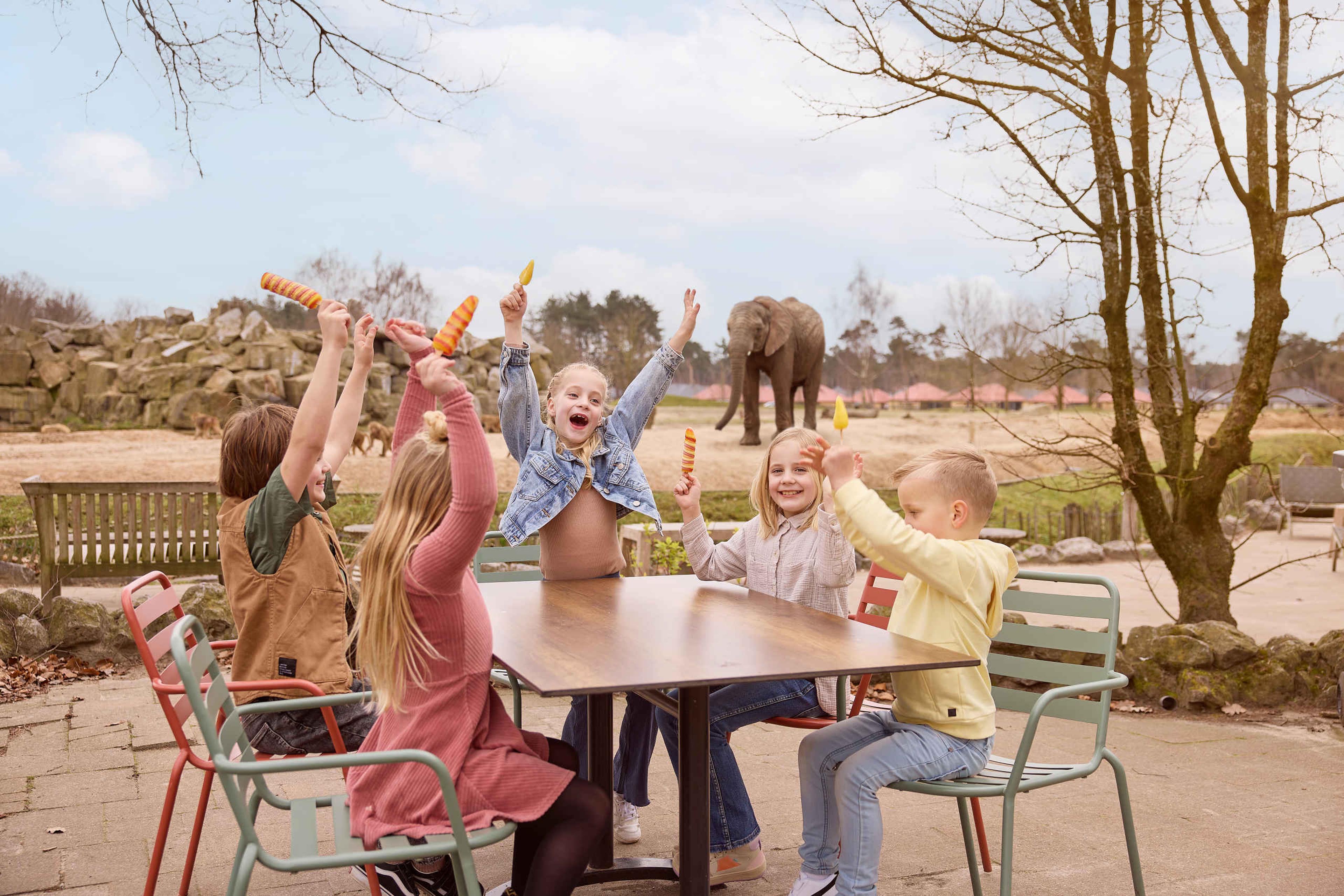 Kinderen tijdens kinderfeestje met ijsjes bij de olifanten in Safaripark Beekse Bergen