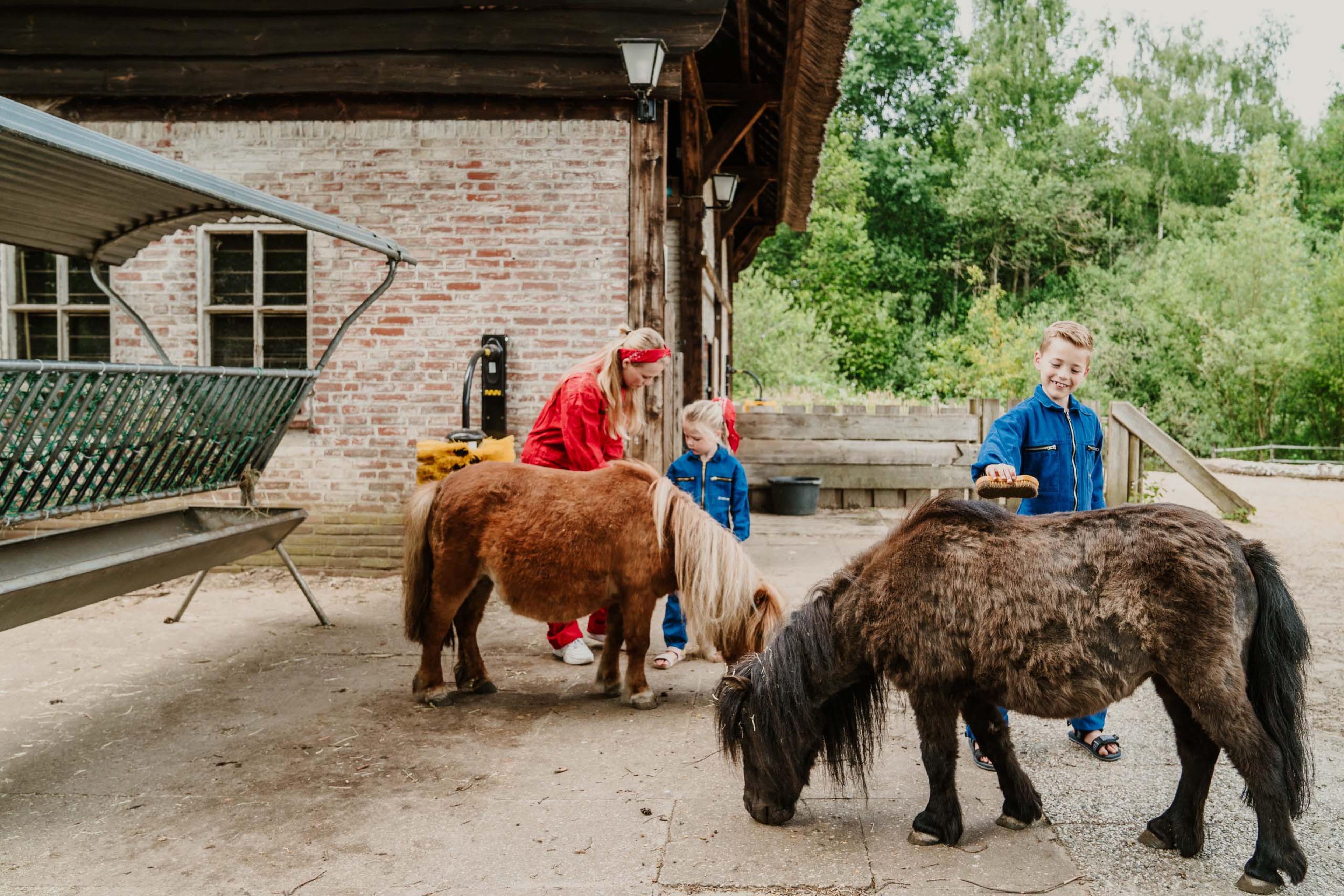 Kinderen verzorgen de pony's in de kinderboerderij van Vakantiepark Dierenbos