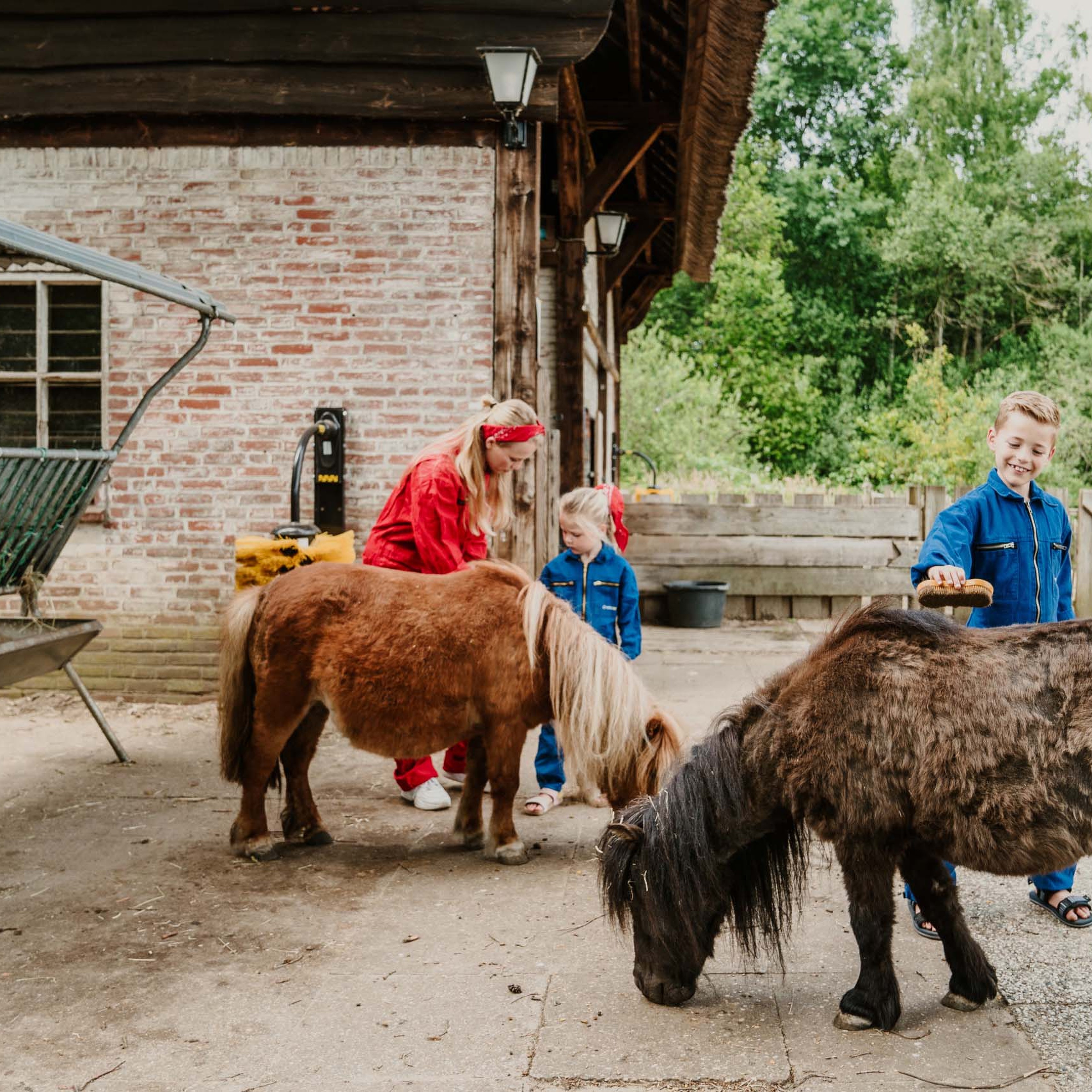Kinderen verzorgen de pony's in de kinderboerderij van Vakantiepark Dierenbos