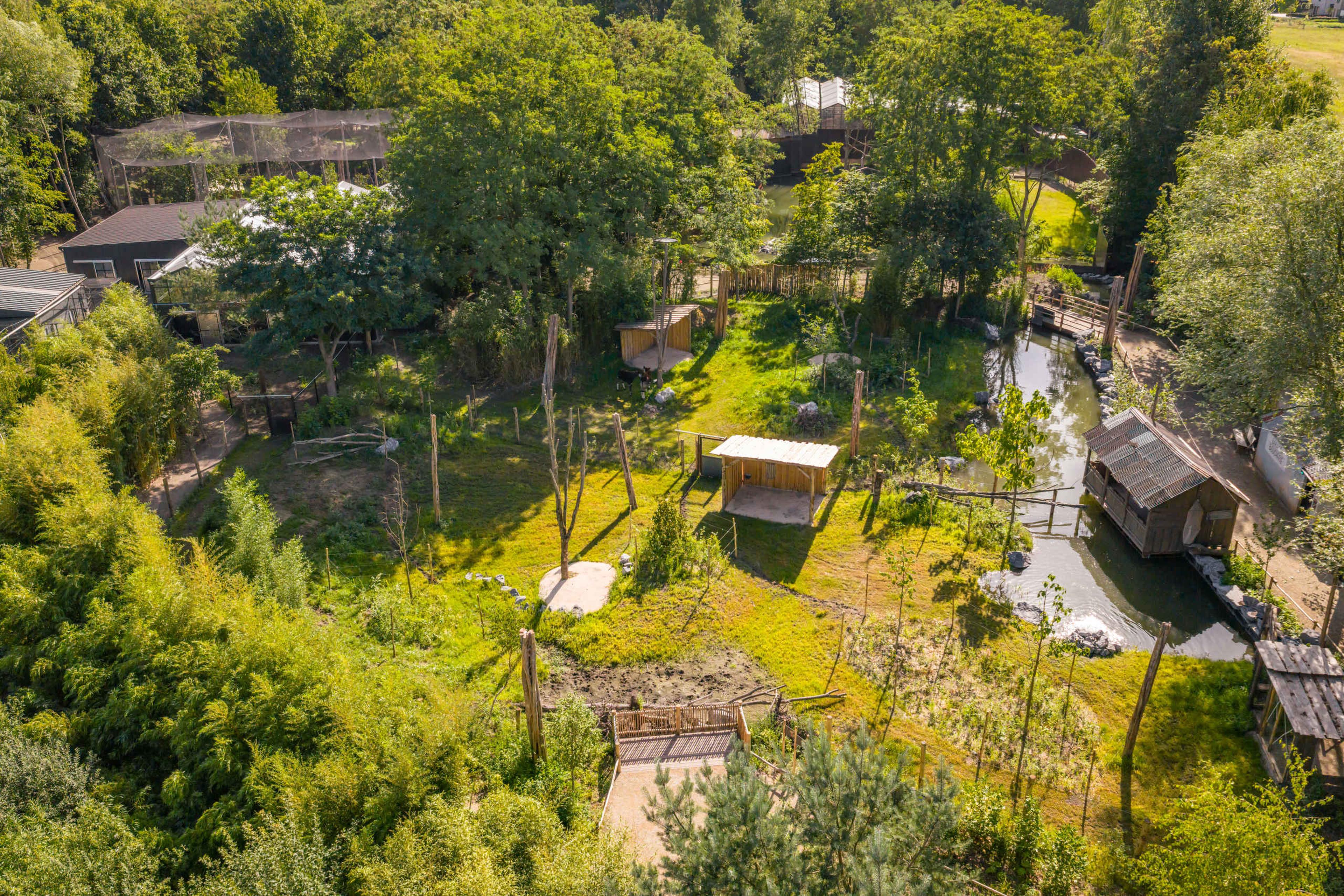 Een luchtfoto van het okapi verblijf in Ngyuwe in ZooParc Overloon
