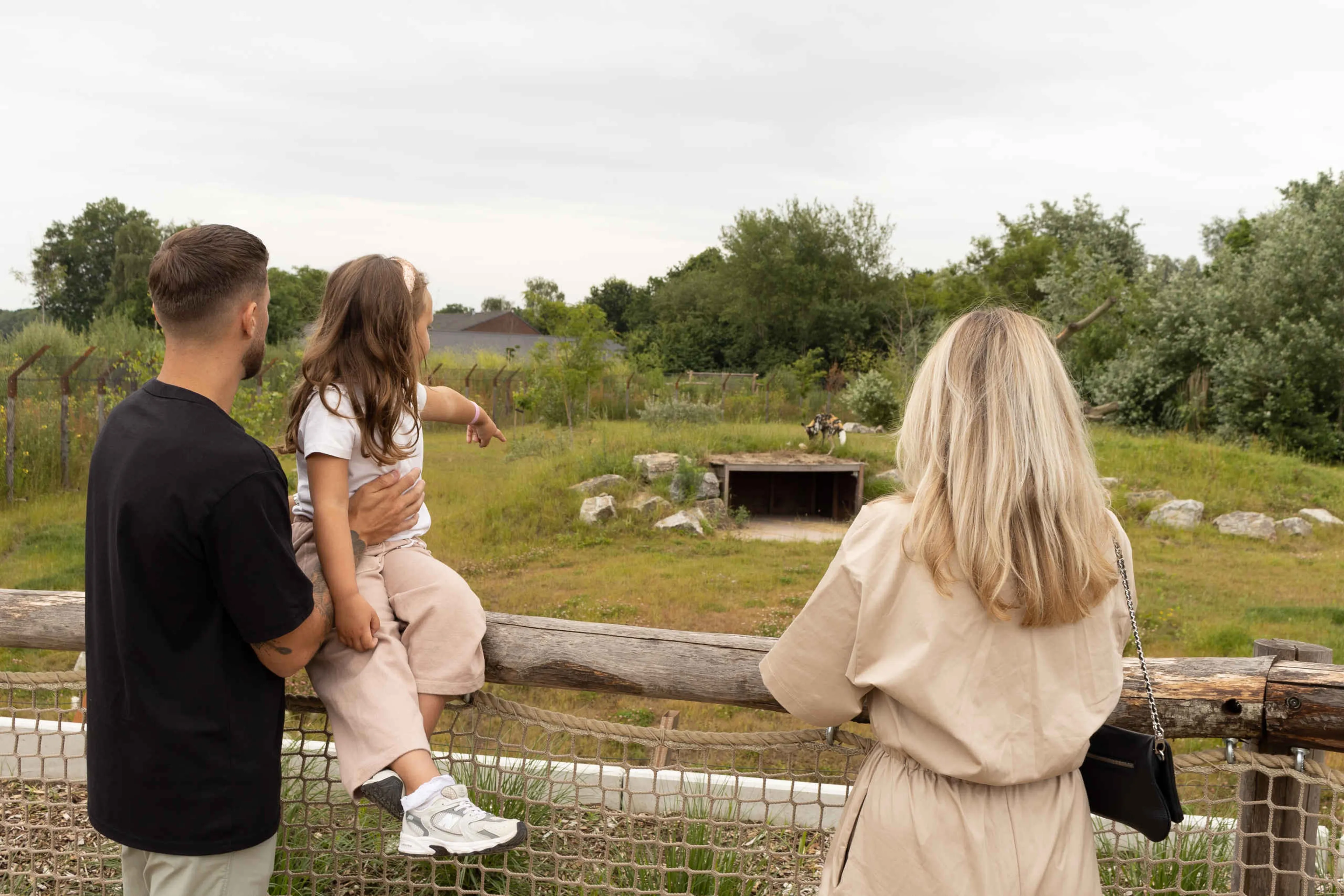 Zomer gezin meisje Afrikaanse wilde hond ZooParc Overloon