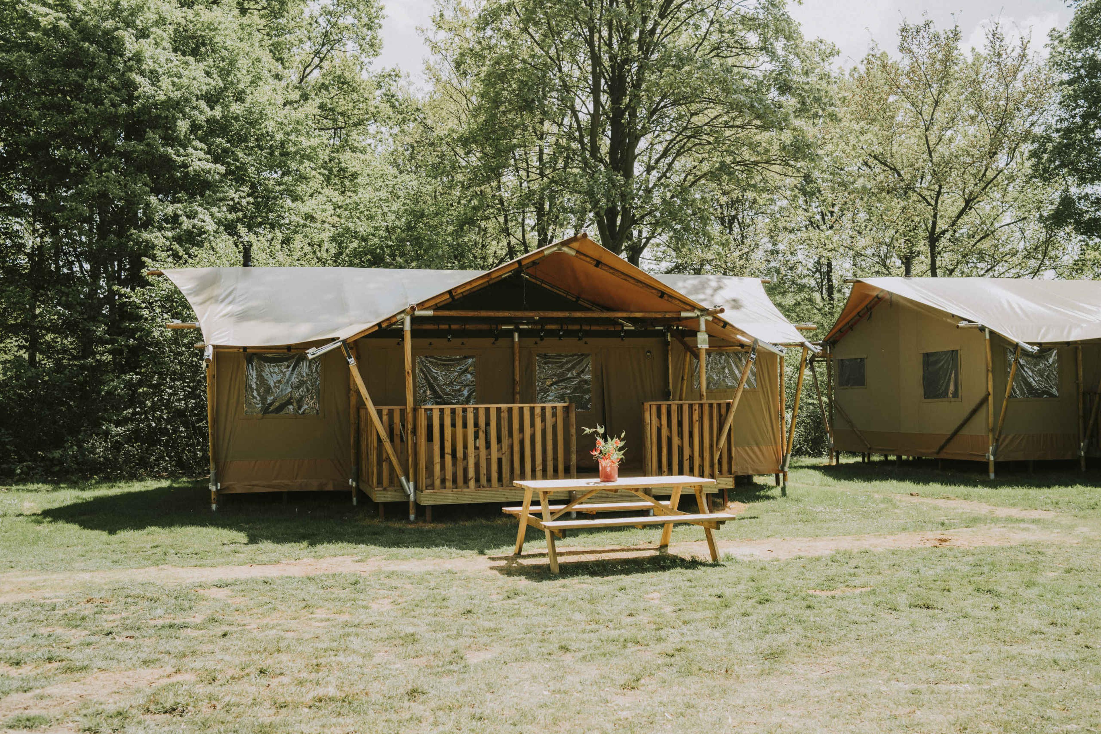 Vooraanzicht Luxe Lodgetent Pauw op Vakantiepark Dierenbos