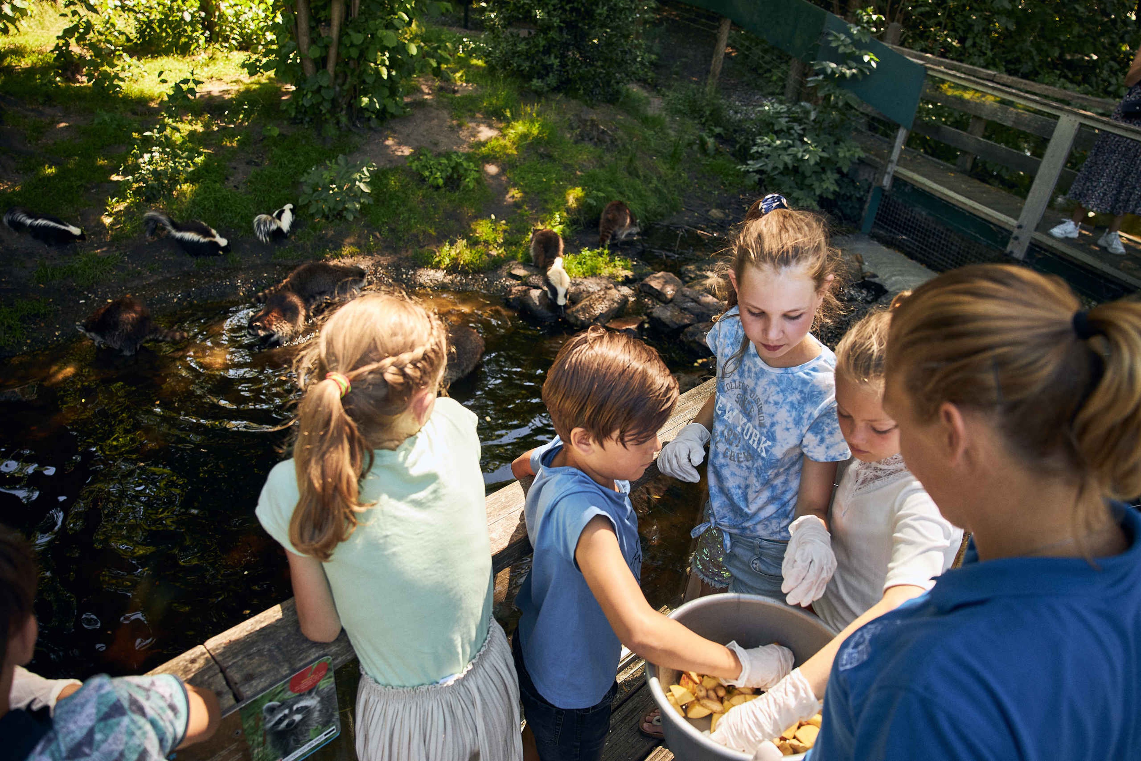 Schoolreisjes kinderfeestje Stichting Wildlife voeren otters AquaZoo Leeuwarden