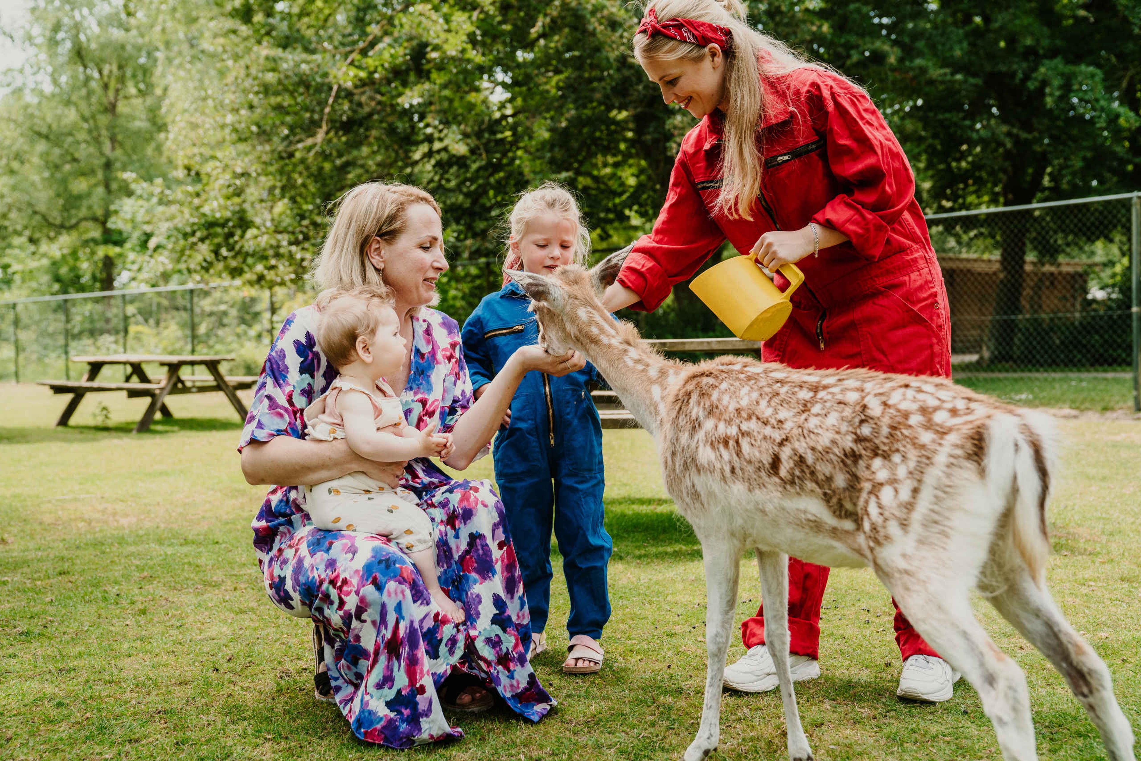 Een moeder en haar kinderen voeren een hertje bij Vakantiepark Dierenbos