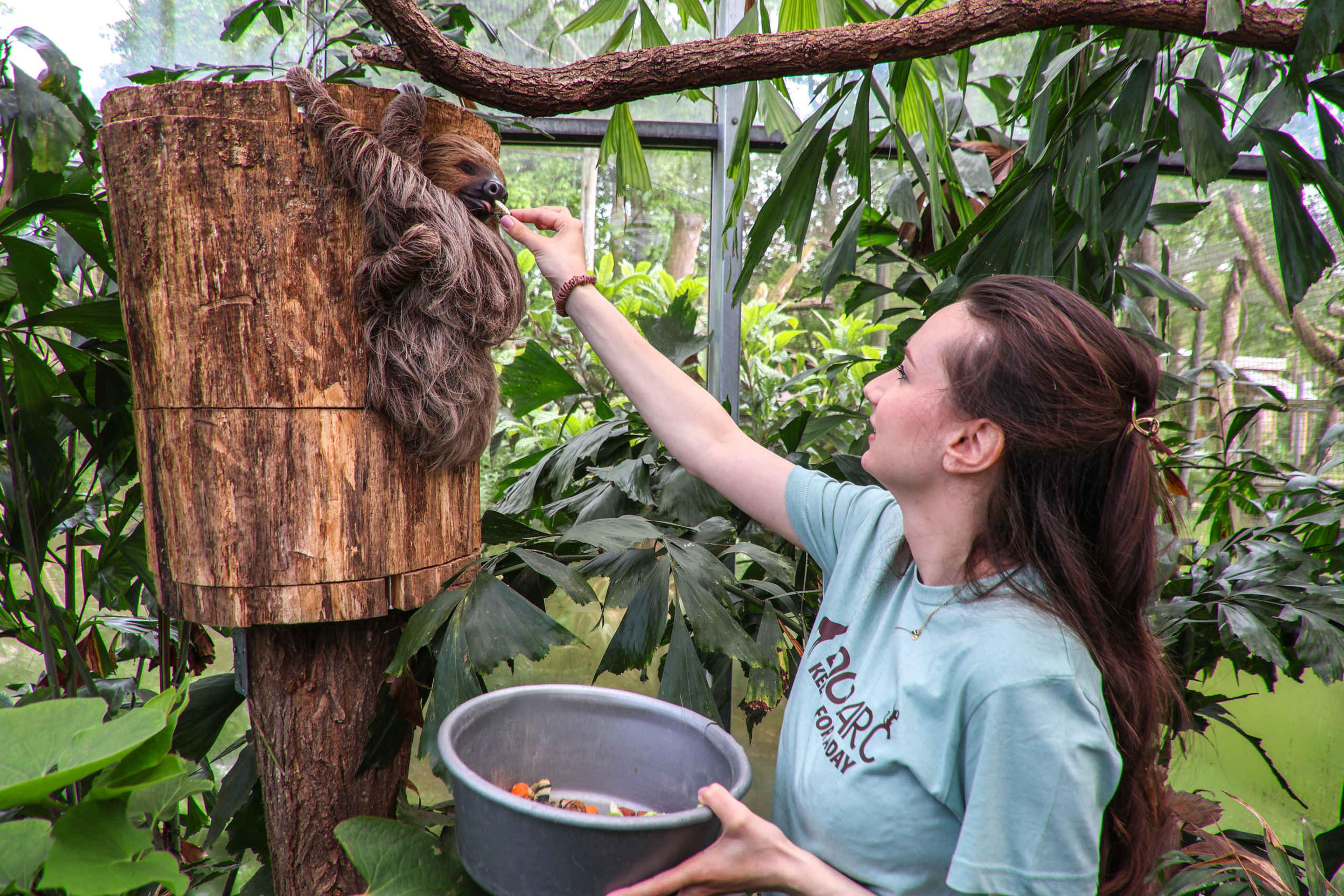 Luiaard voeren Keeper for a day ZooParc Overloon
