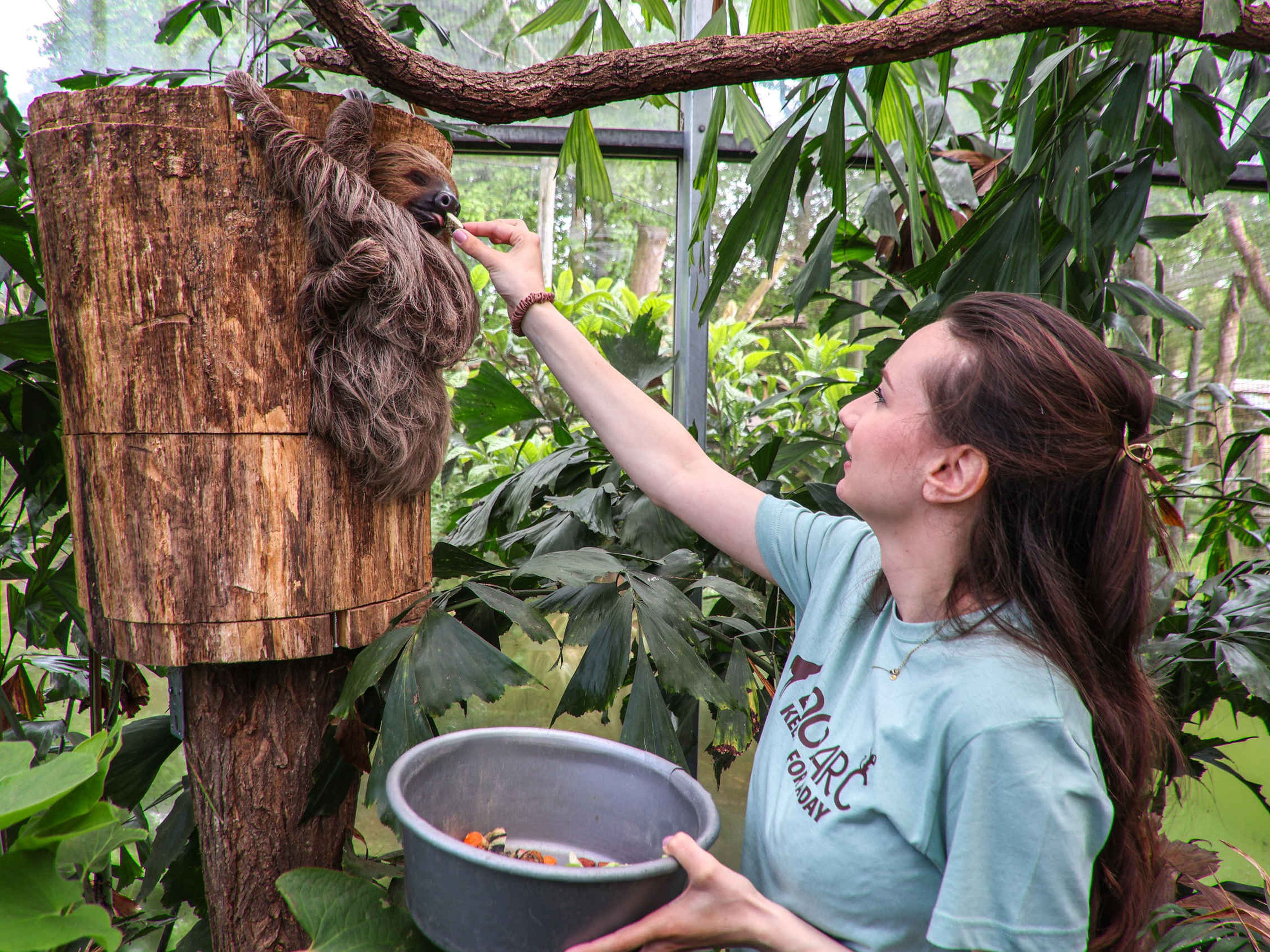 Luiaard voeren Keeper for a day ZooParc Overloon