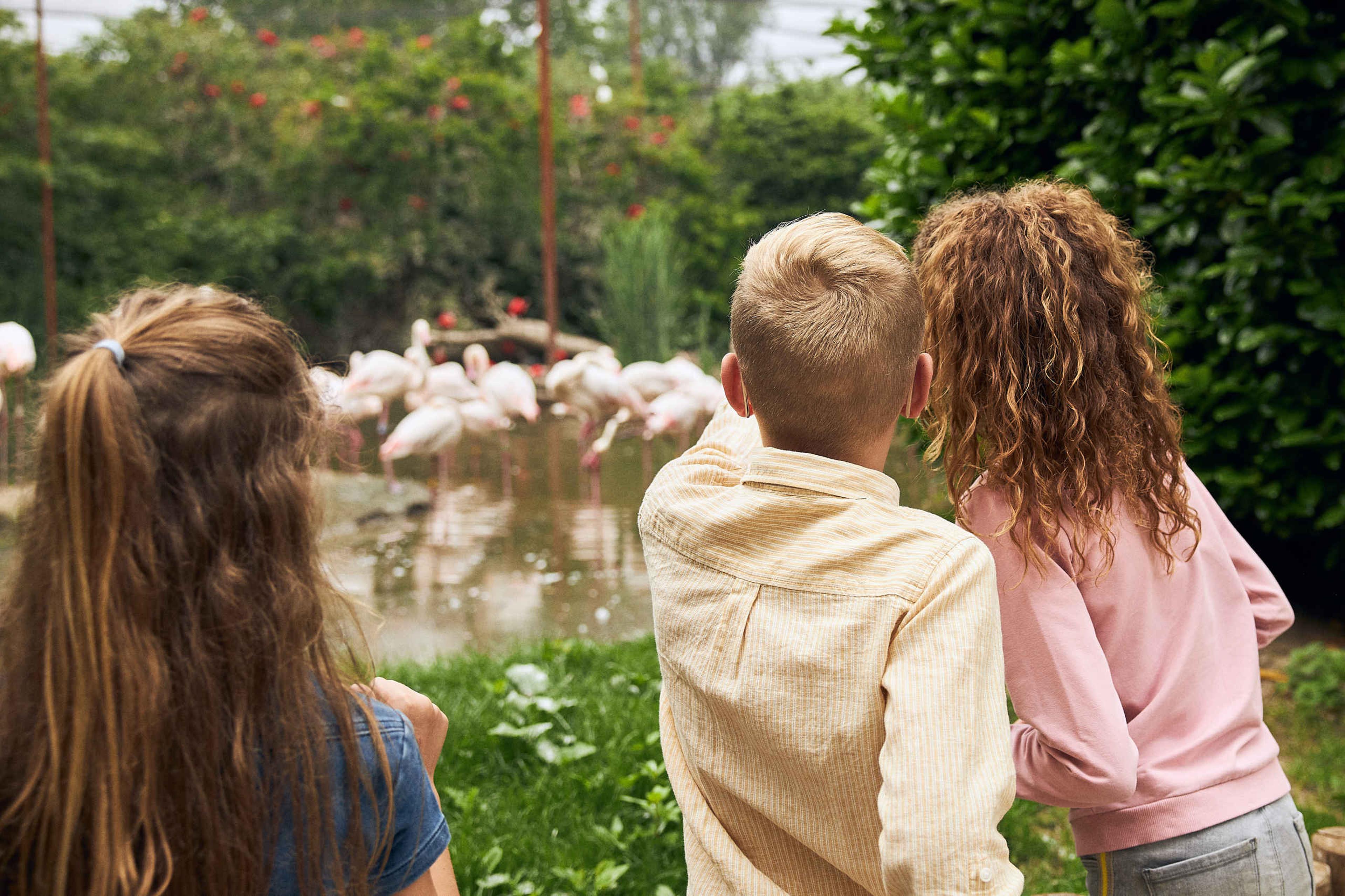Kinderen wijzen naar flamingo's tijdens een kinderfeestje of schoolreisje in Eindhoven Zoo
