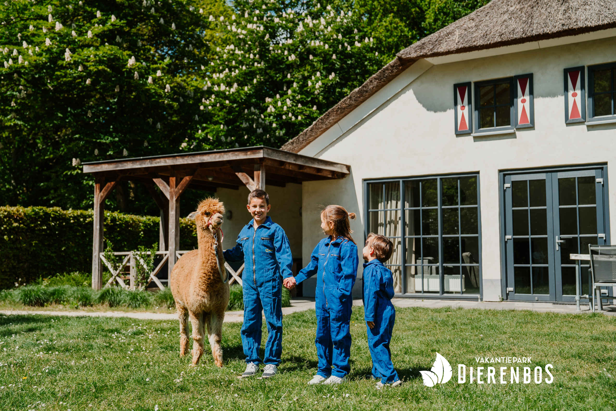 Alpaca voor villa met kinderen in Vakantiepark Dierenbos