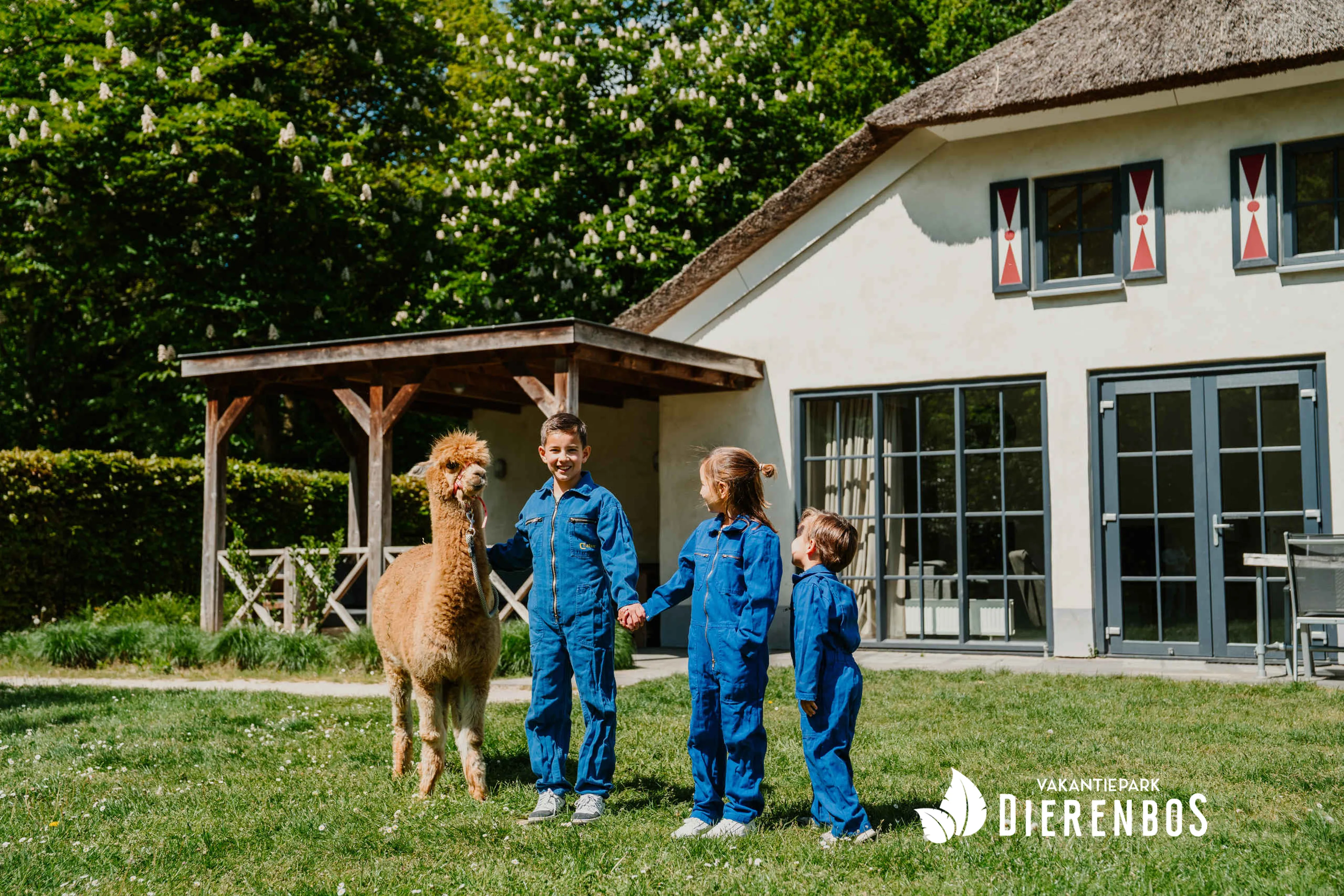 Alpaca voor villa met kinderen in Vakantiepark Dierenbos