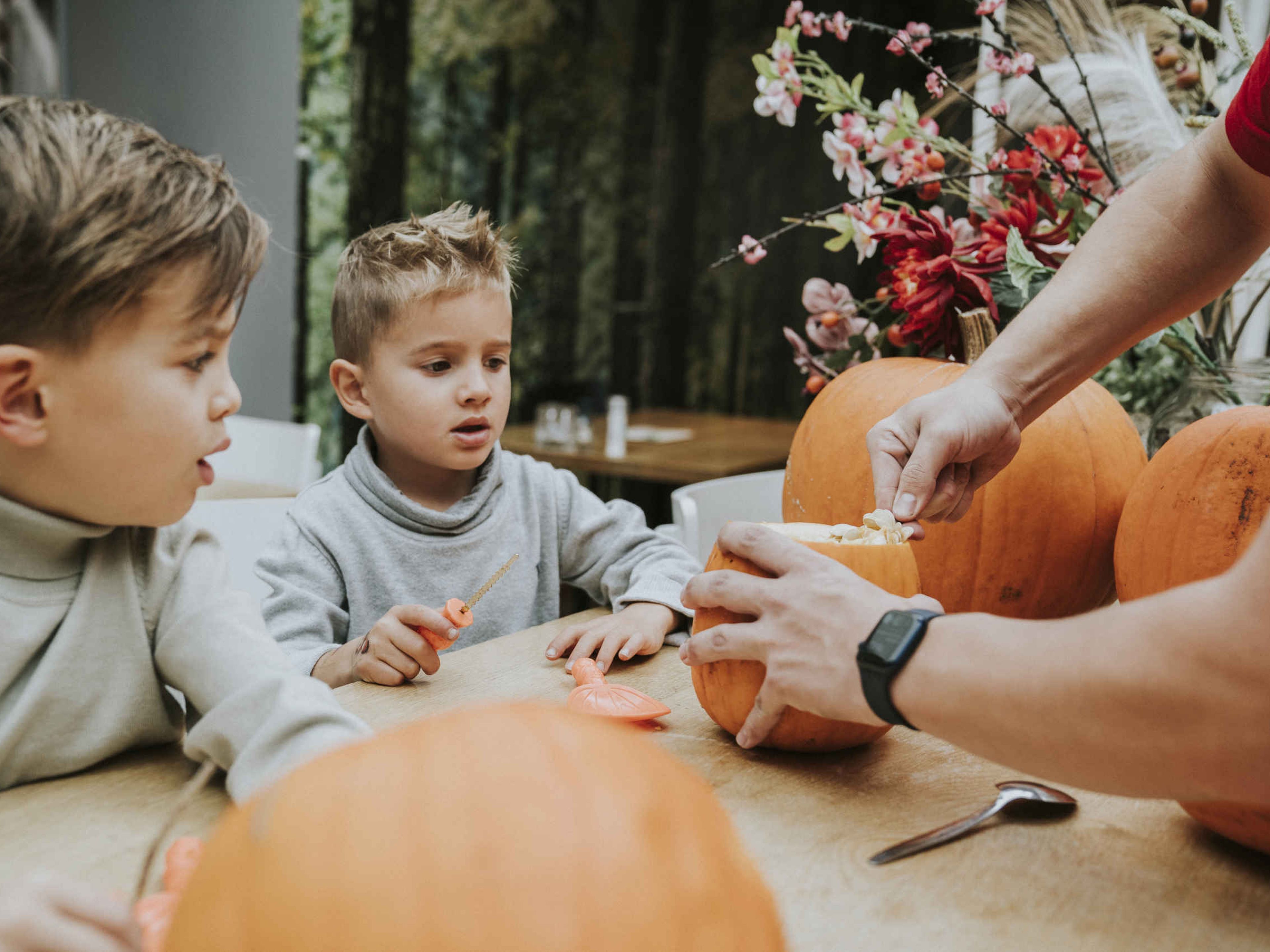 kinderen hollen pompoenen uit op Vakantiepark Dierenbos