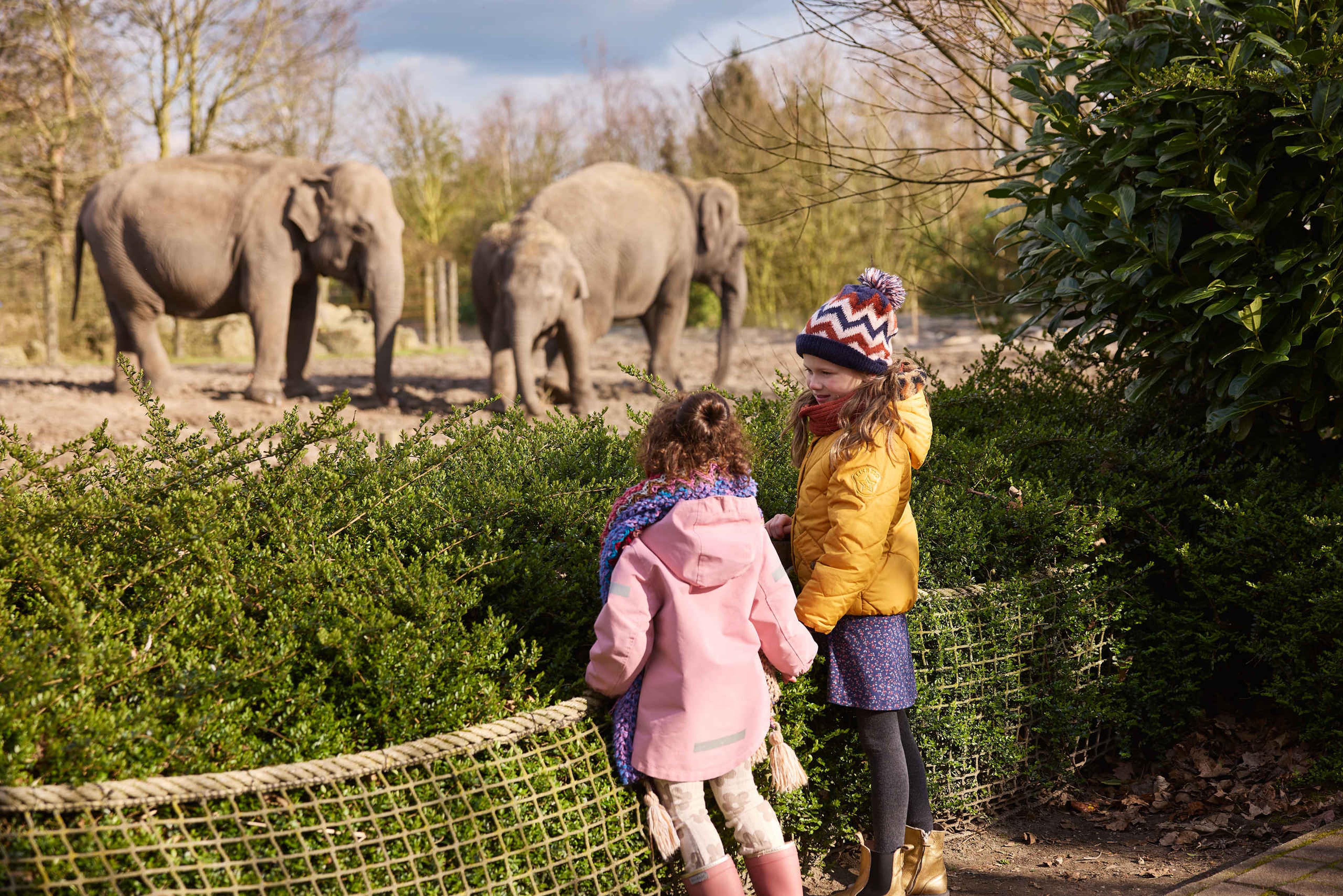 Winter meisjes bij olifanten Eindhoven Zoo
