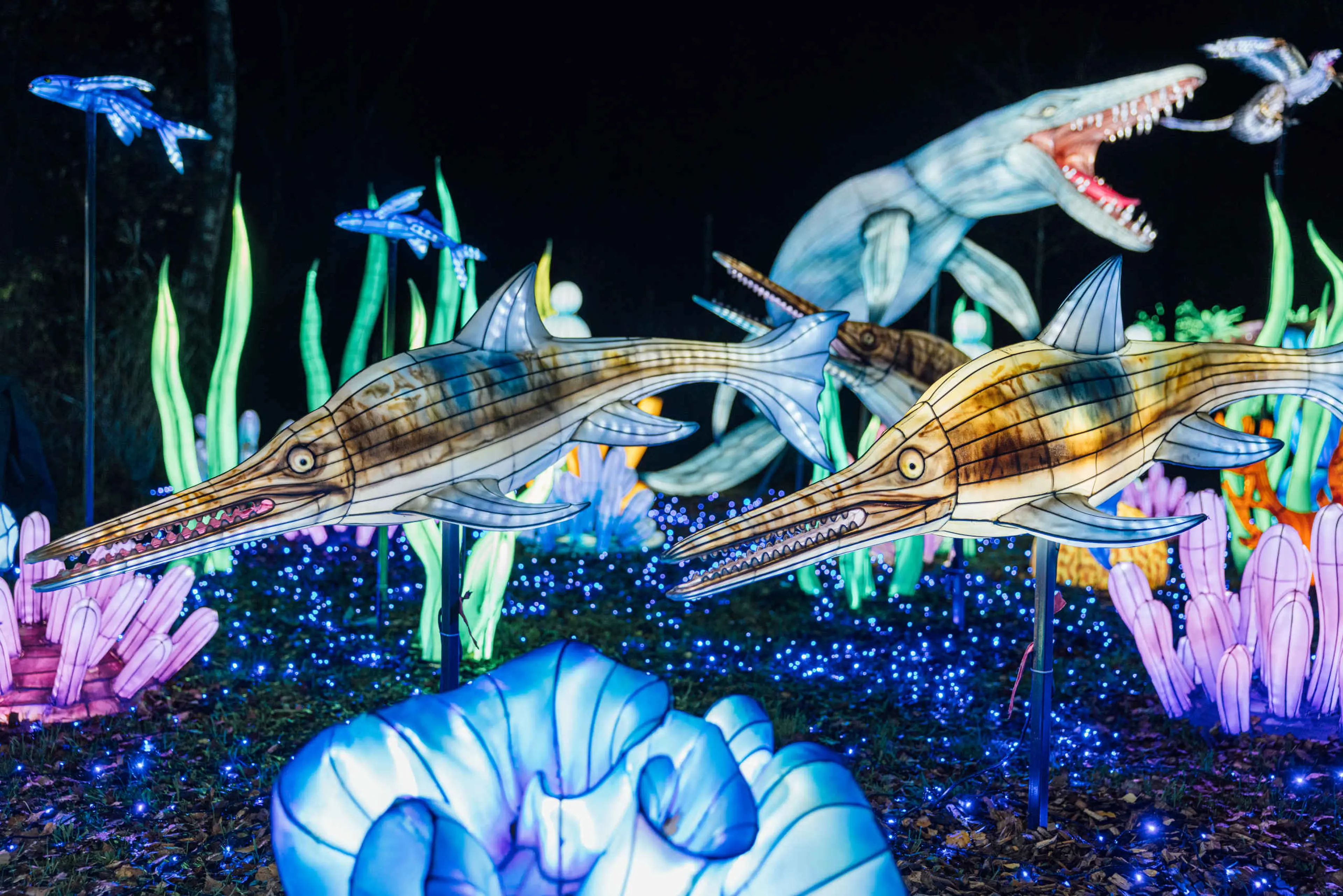 Onderwaterwereld lichtfiguren tijdens Light Safari Beekse Bergen