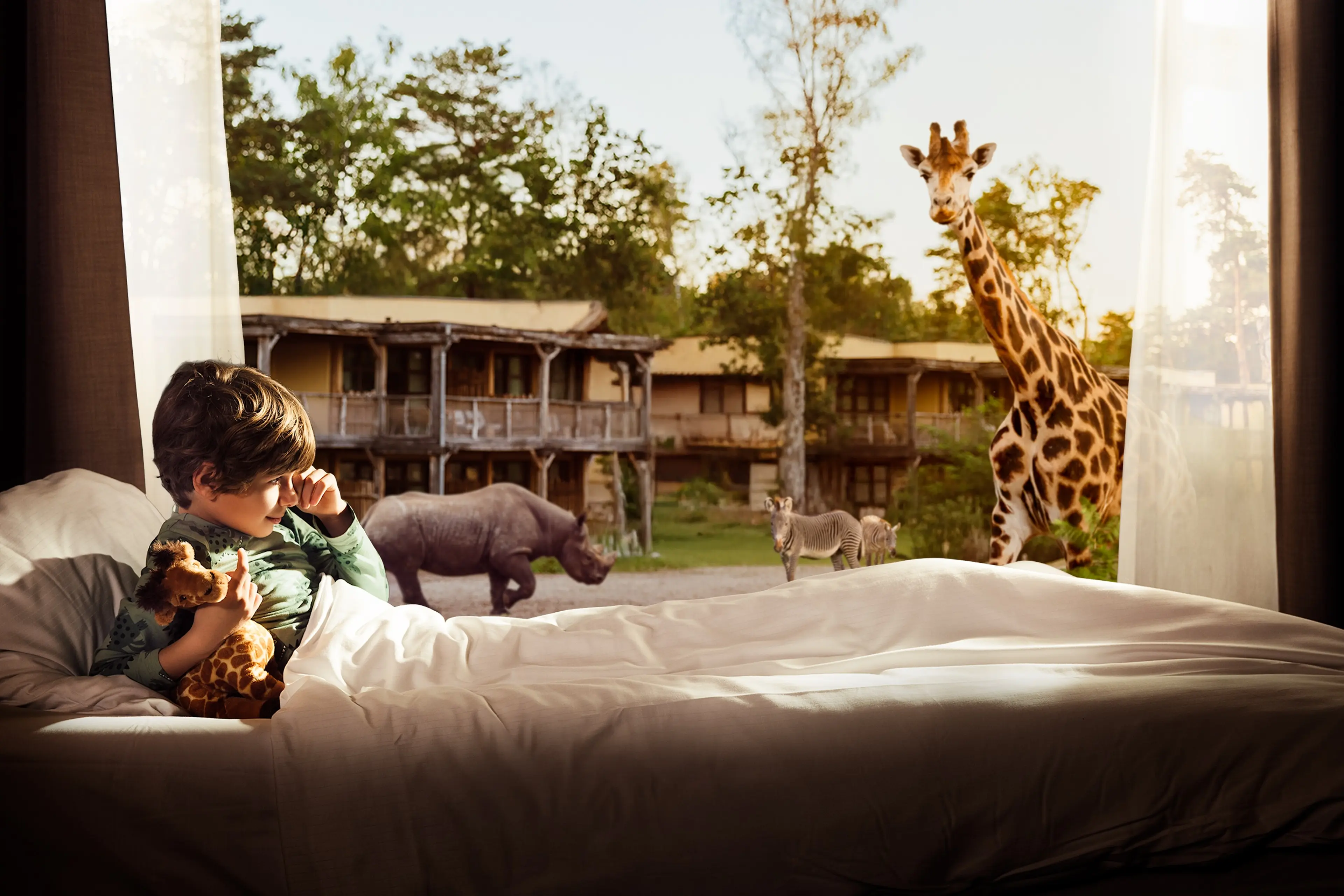 Een jongen ontwaakt in een Savanne Room met uitzicht op een savanne met giraffen, zebra's en neushoorns bij Safari Hotel Beekse Bergen.