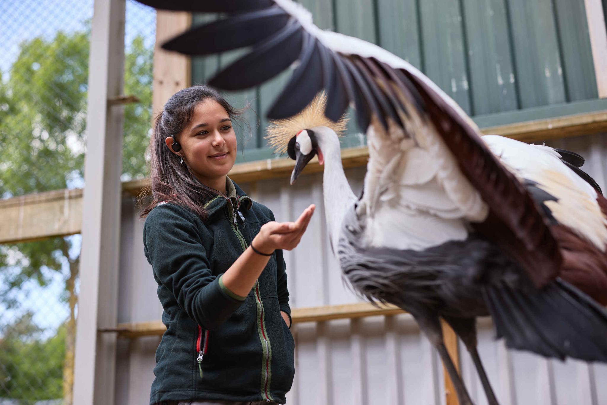 Een dierenverzorger bij Beekse Bergen