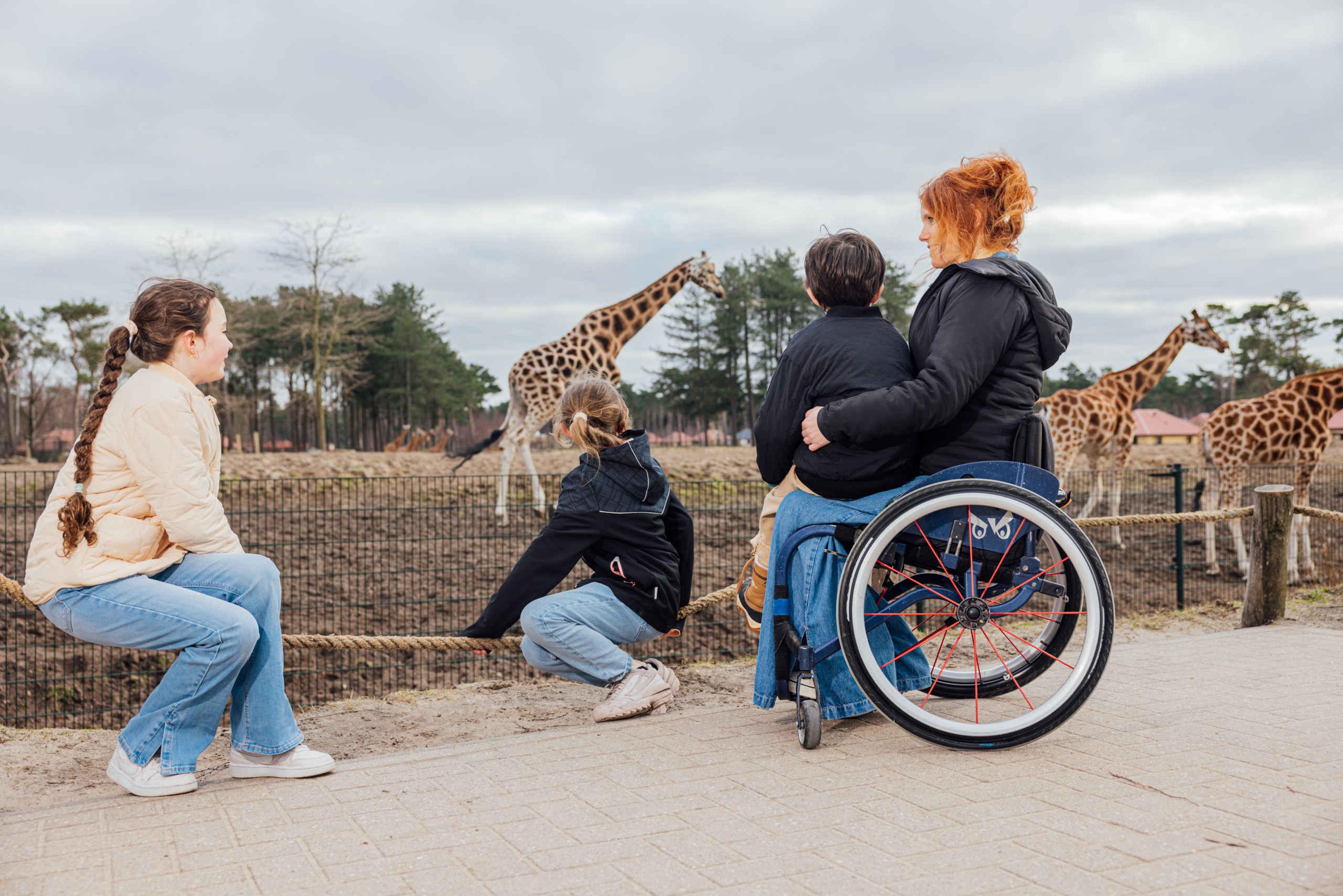 Gezin met rolstoel bij de giraffen in Safaripark Beekse Bergen