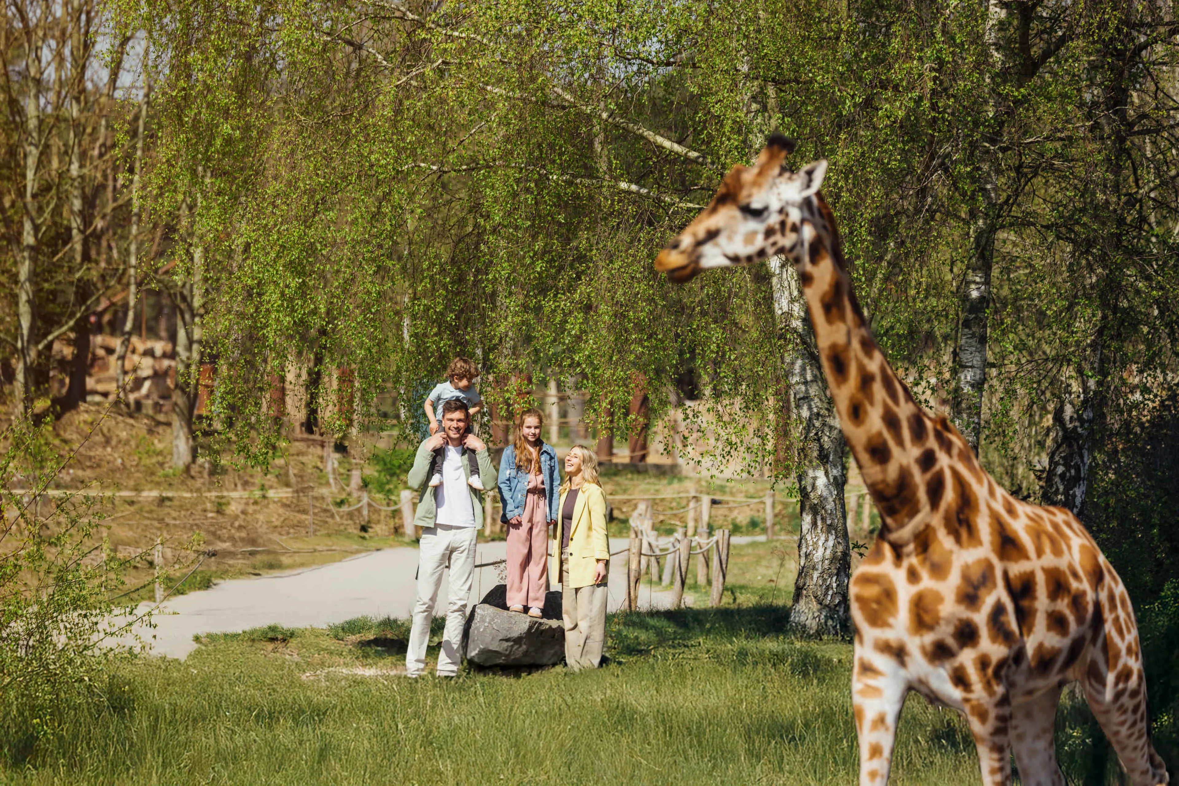 Giraf in Safaripark Beekse Bergen
